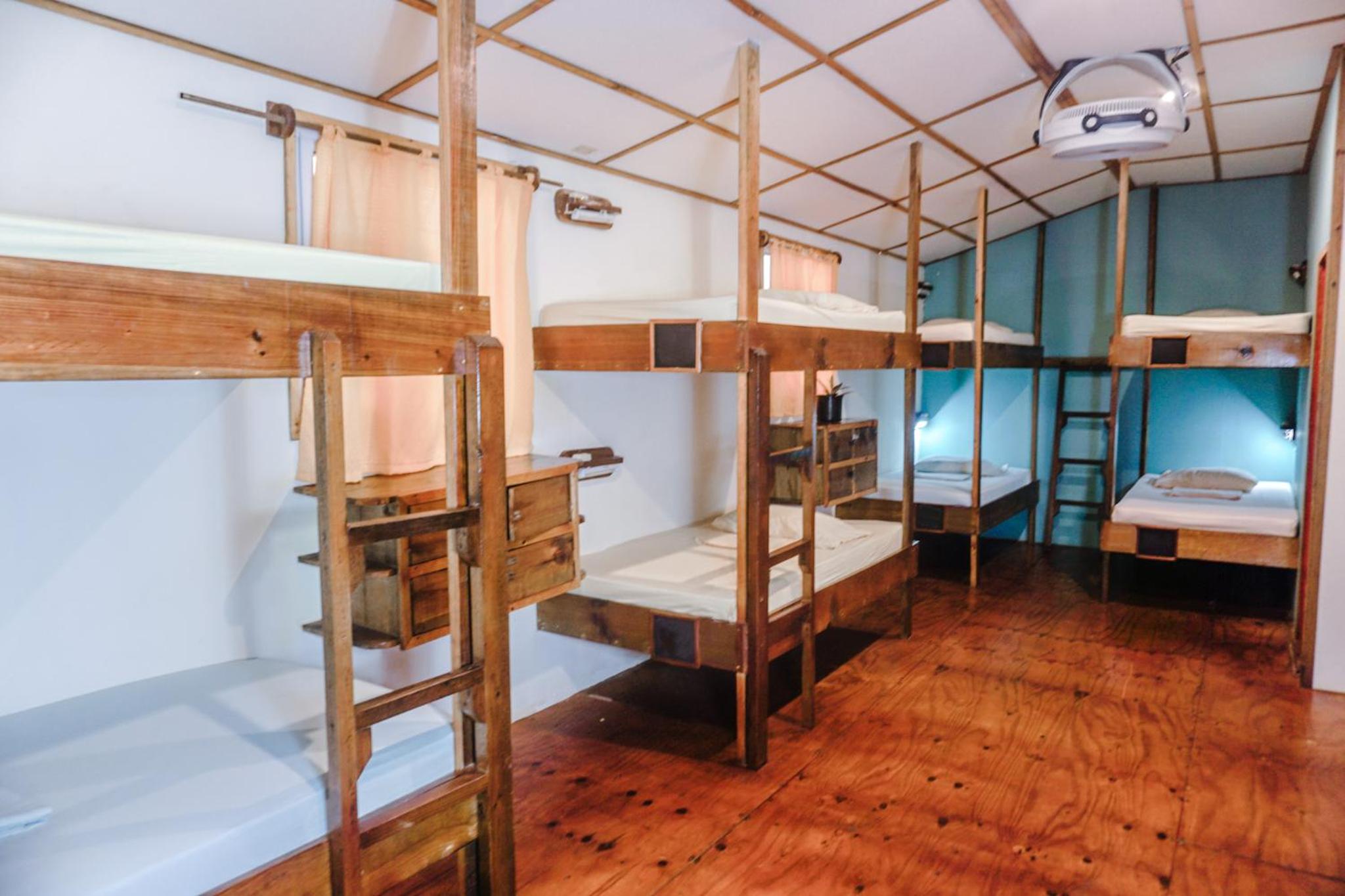 Bunk Bed in Female Dormitory Room   photo 1