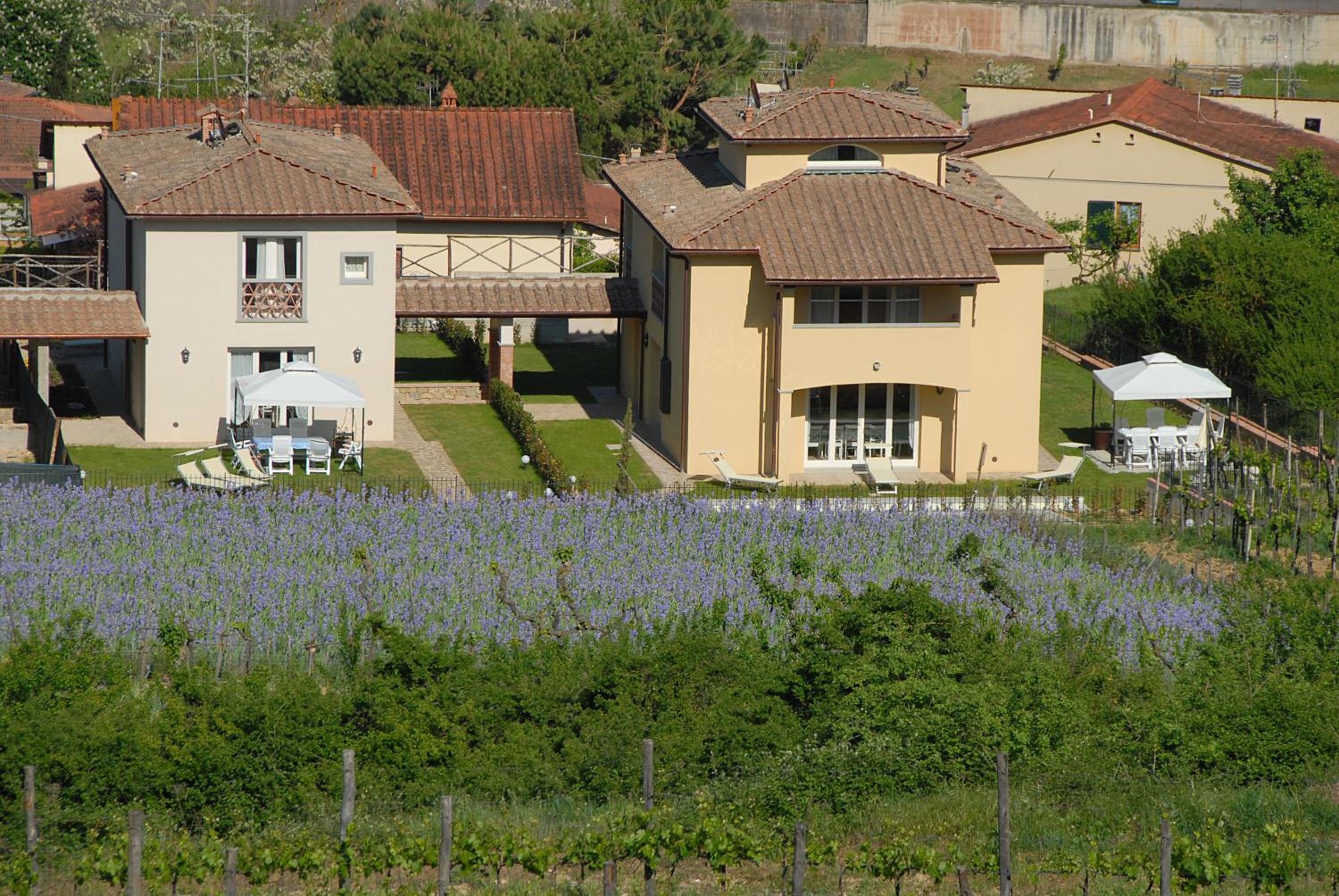 Three-Bedroom Villa photo 2