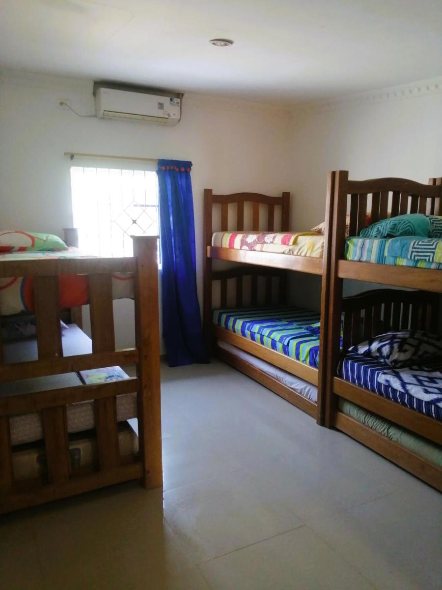 Bed in 6-Bed Mixed Dormitory Room