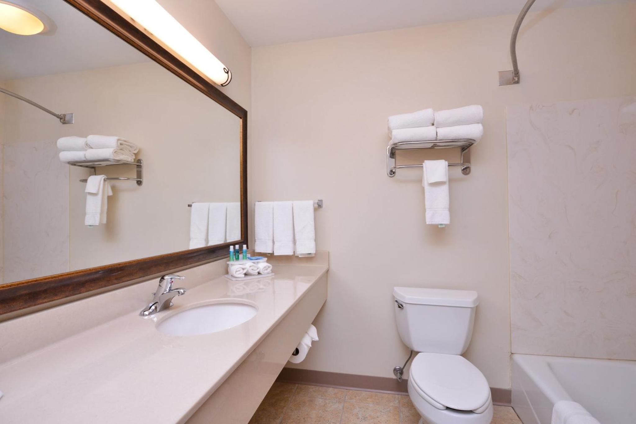 Holiday Inn Express Hotel & Suites Sioux Falls At Empire Mall by IHG, Photo 5