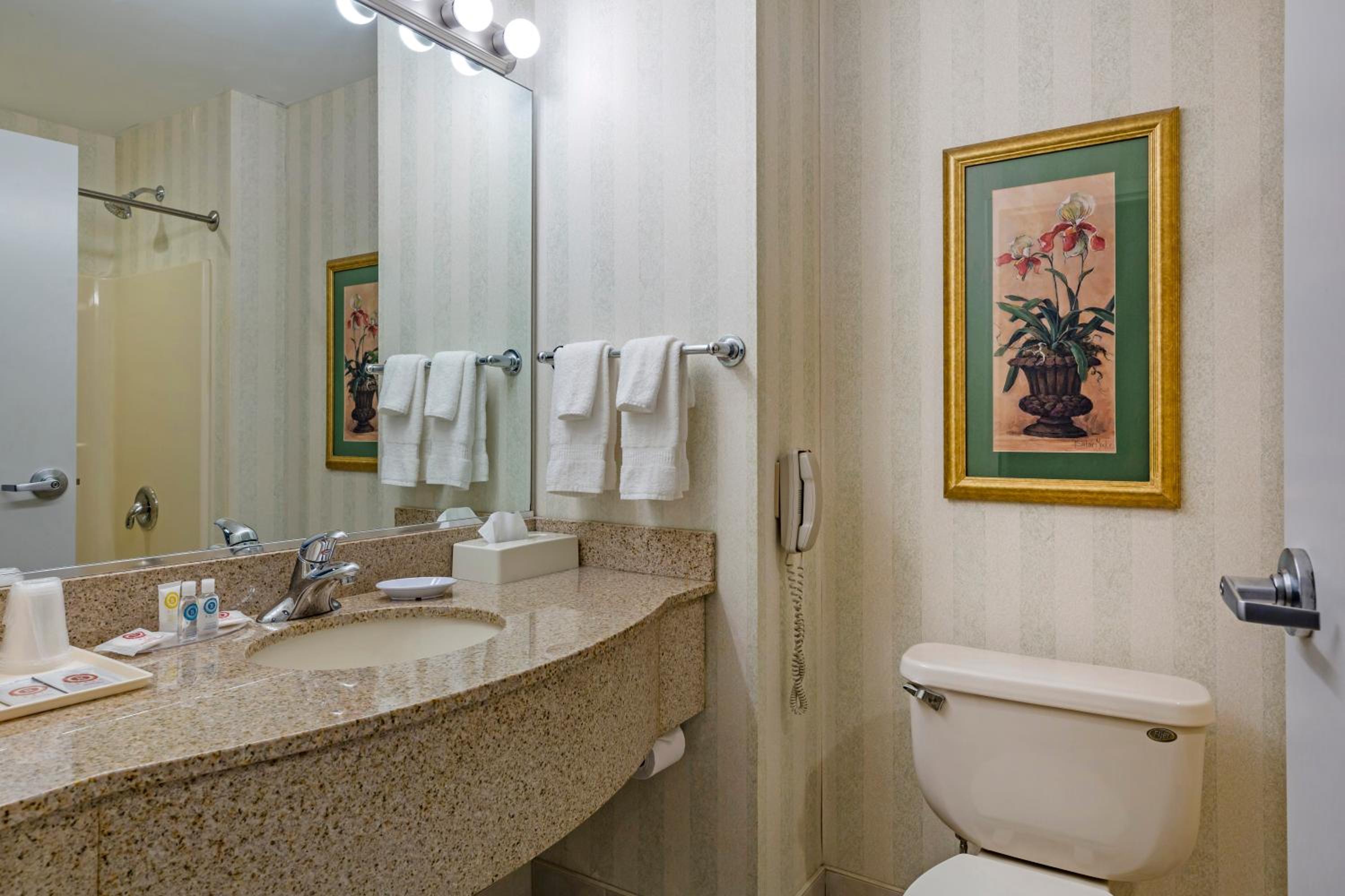 King Room - Non-Smoking - Photo 3
