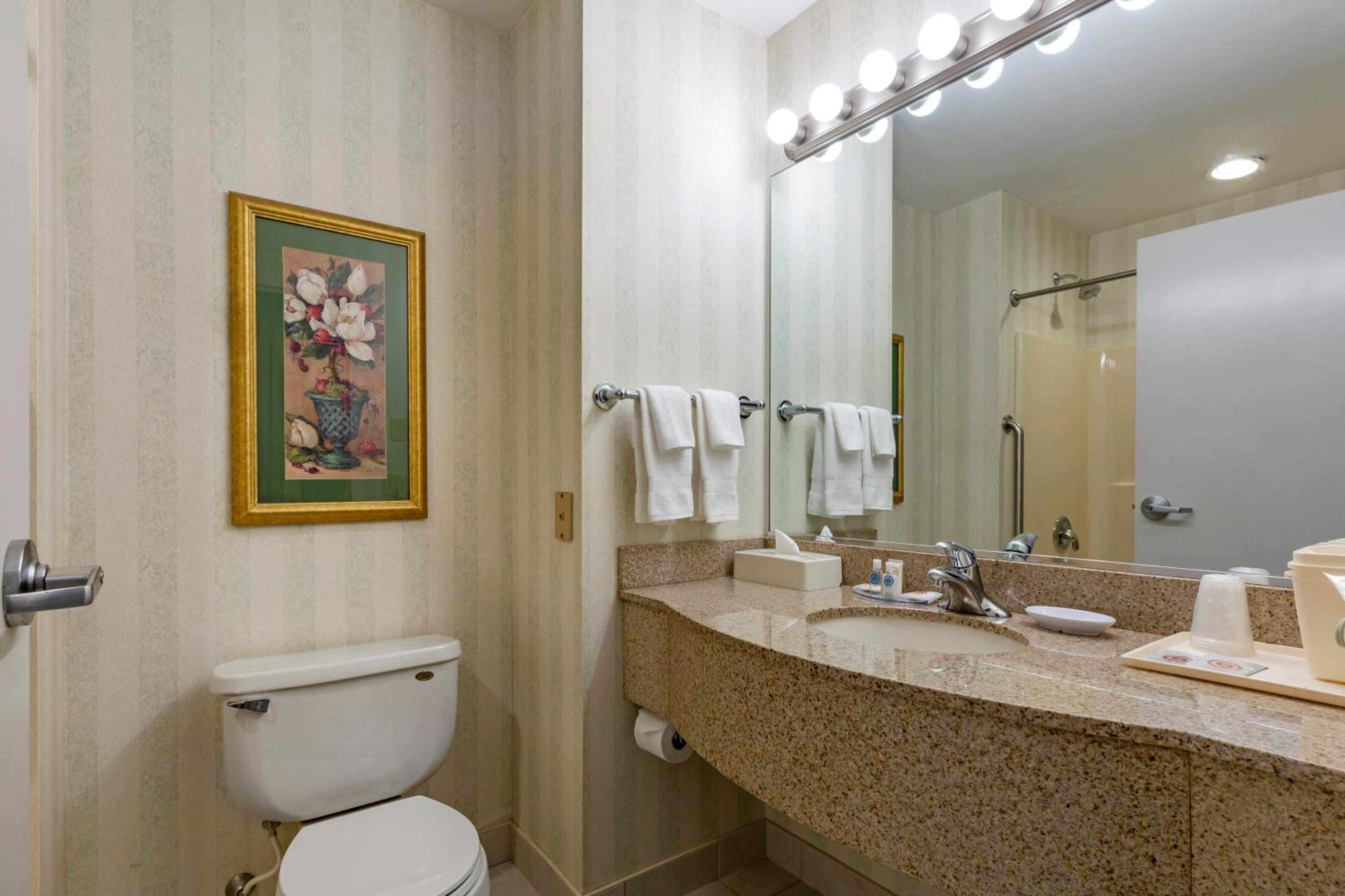 King Suite - Non-Smoking - Photo 3