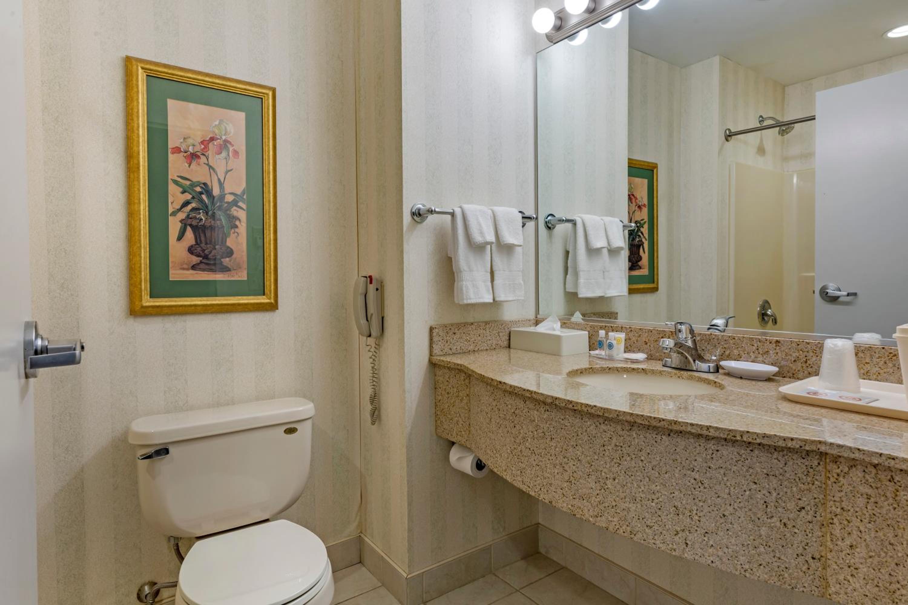 King Room - Accessible/Non-Smoking - Photo 3