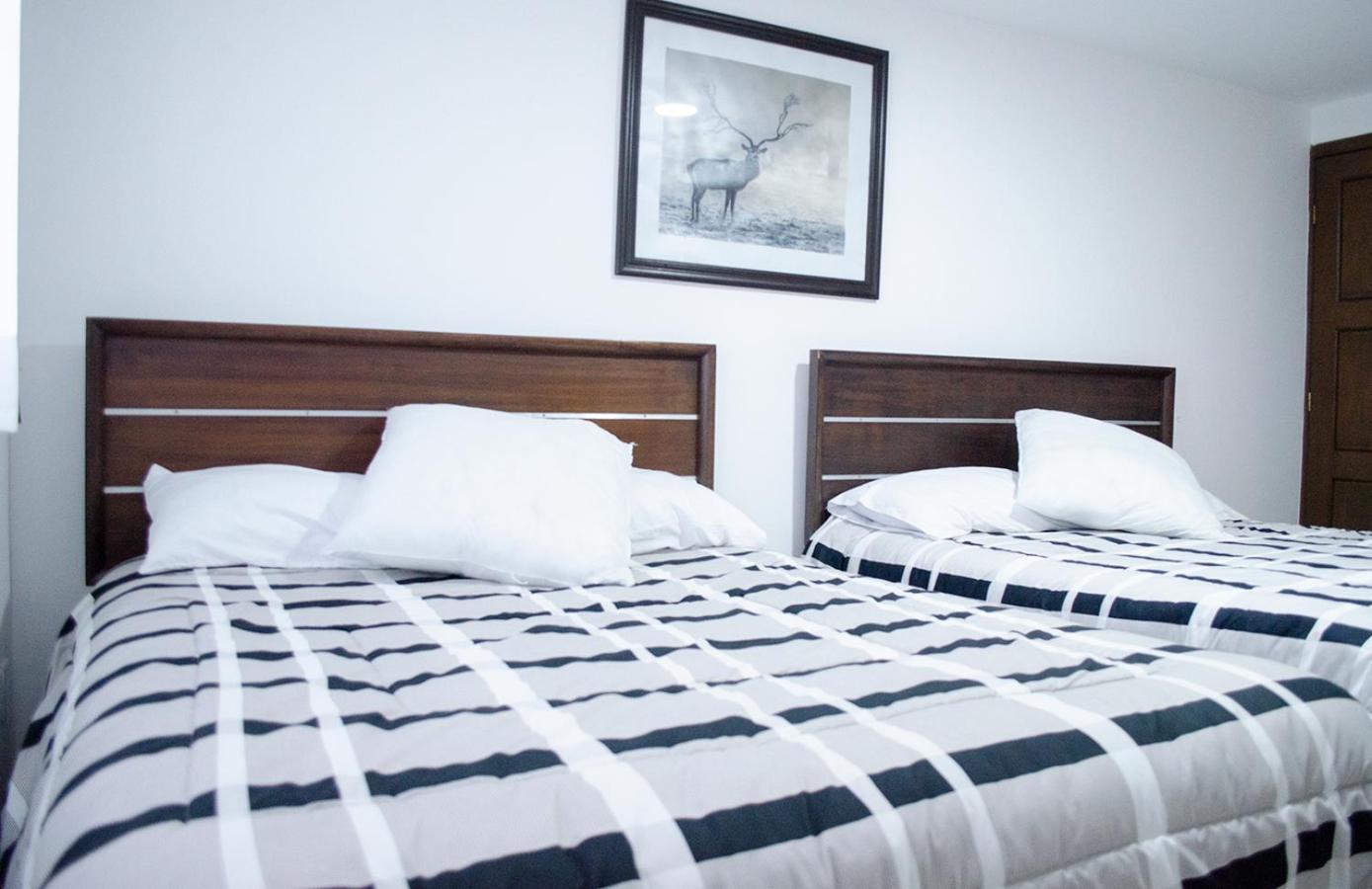 Standard Twin Room photo 2