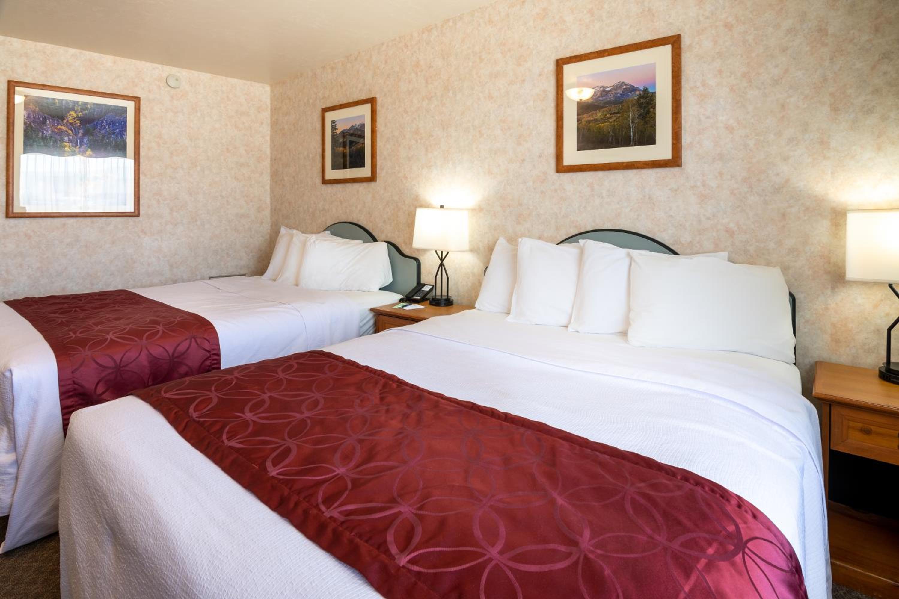 1 Bedroom - 2 Queen Beds photo 1
