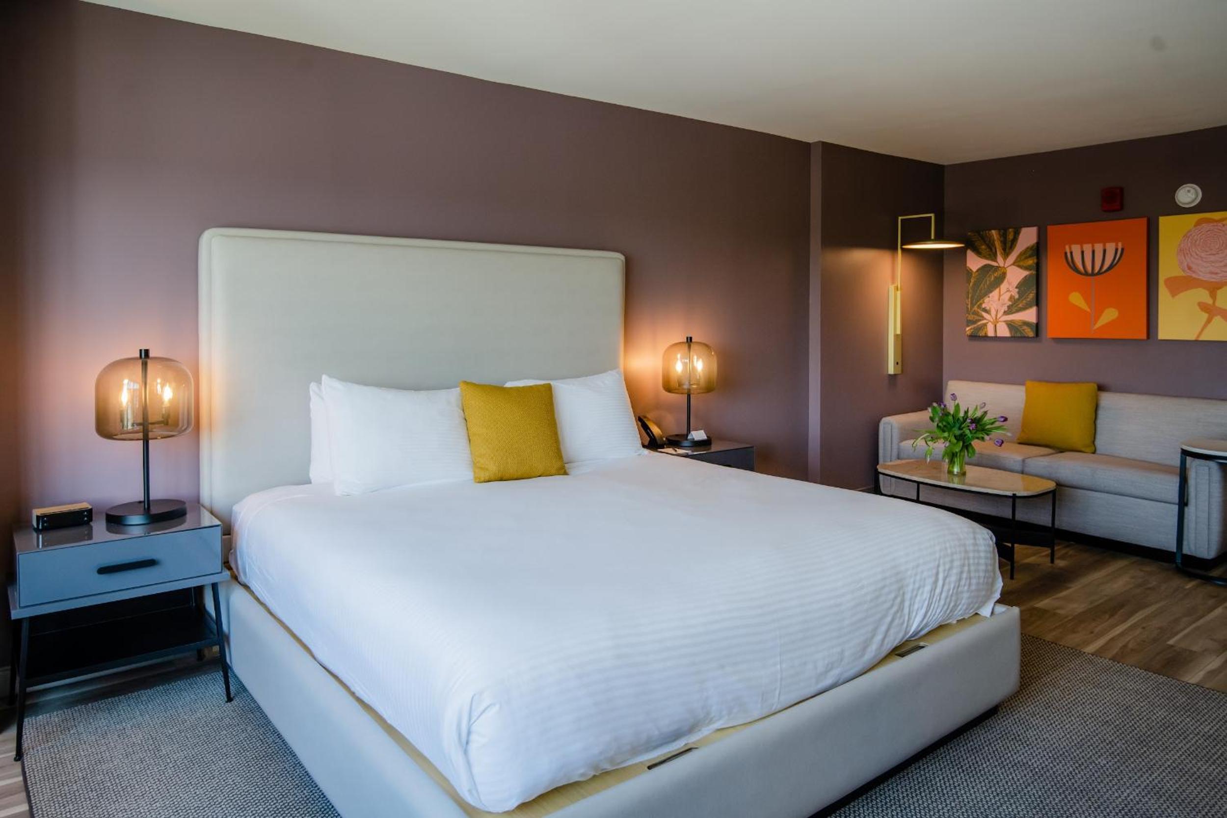 Premium 1 King Bed photo 3
