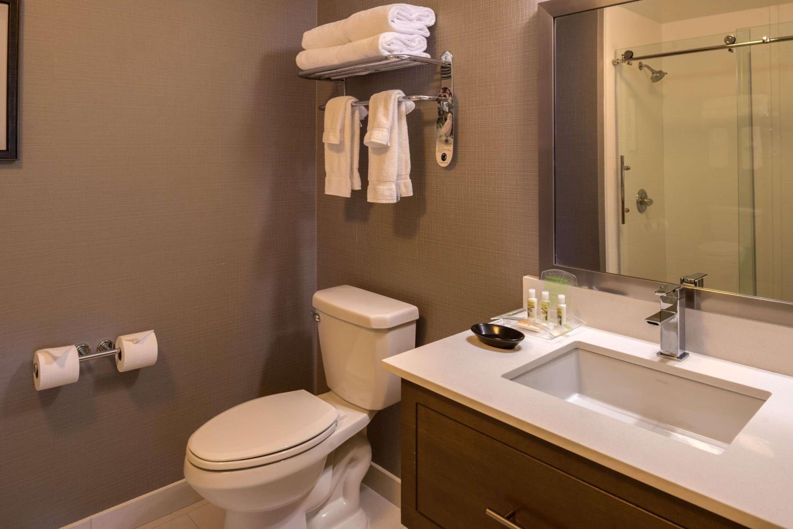 Deluxe King Room with Roll-In Shower - Mobility Accessible photo 2