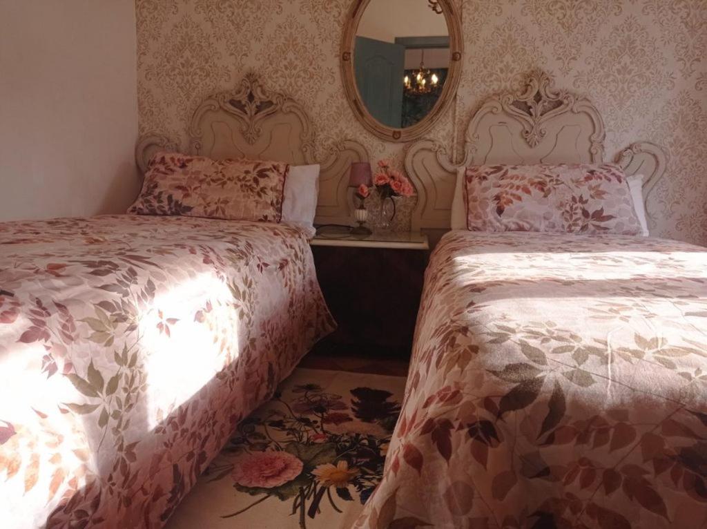 Comfort Quadruple Room photo 3