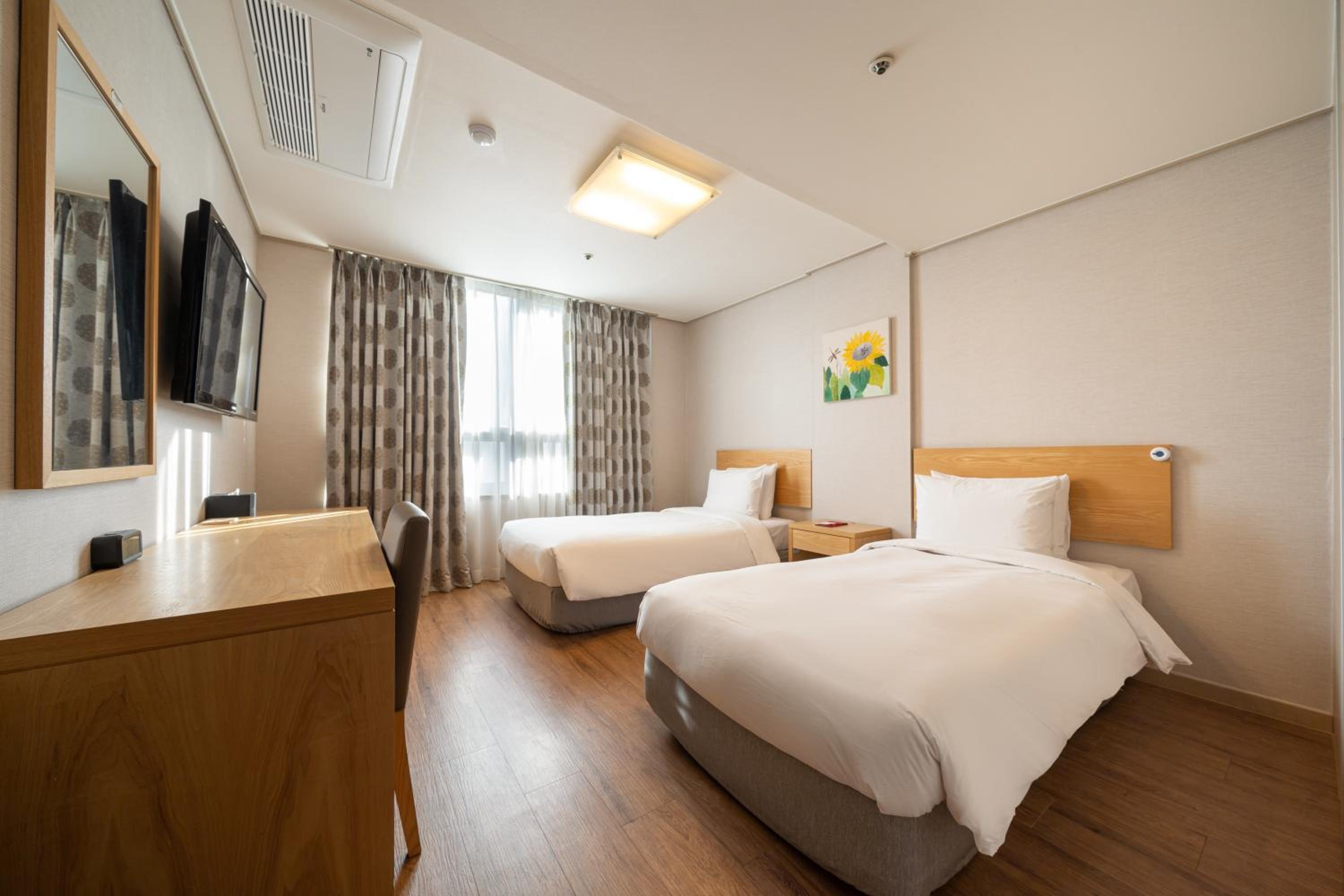Suite - Photo 1