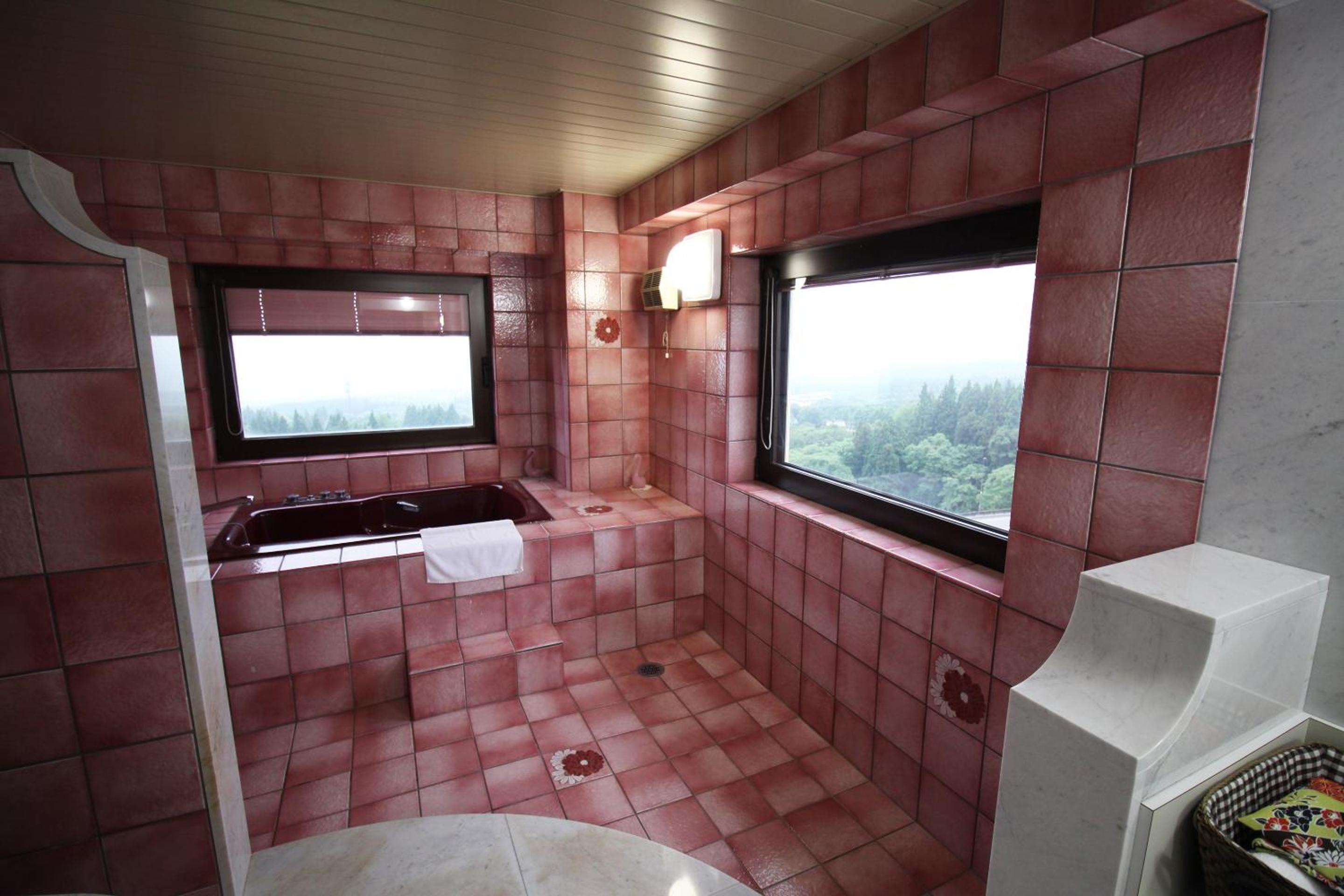 Deluxe Twin Room photo 2