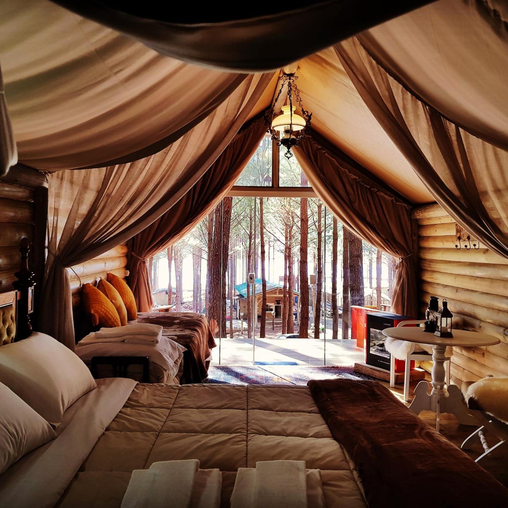 Luxury Glamping Tent photo 1