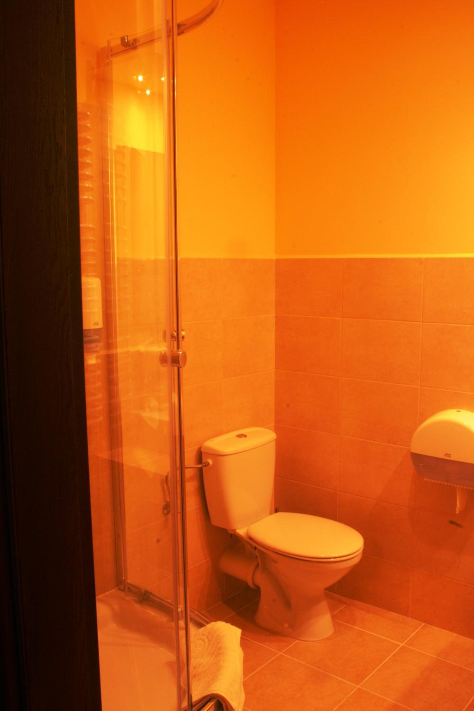 Large Single Room photo 3