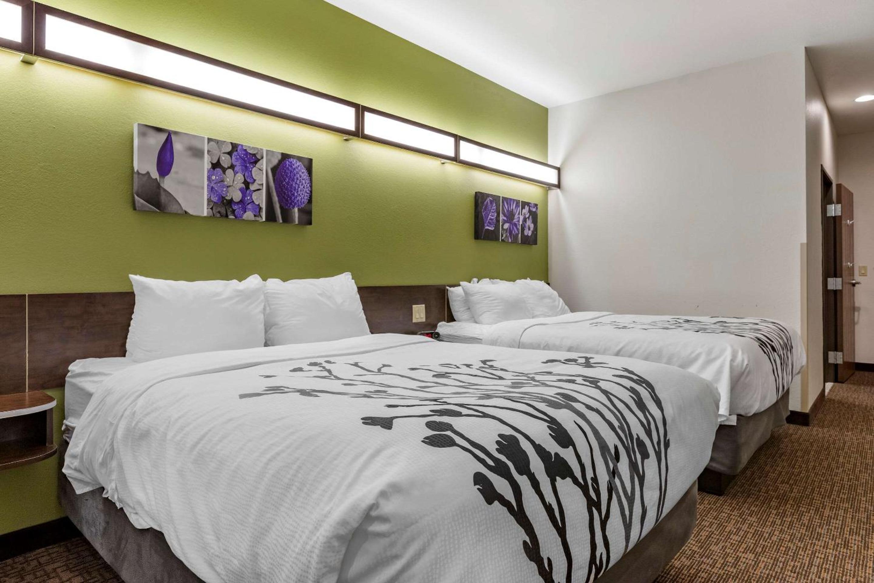 Standard Queen Room with Two Queen Beds - Non Smoking  - Photo 2