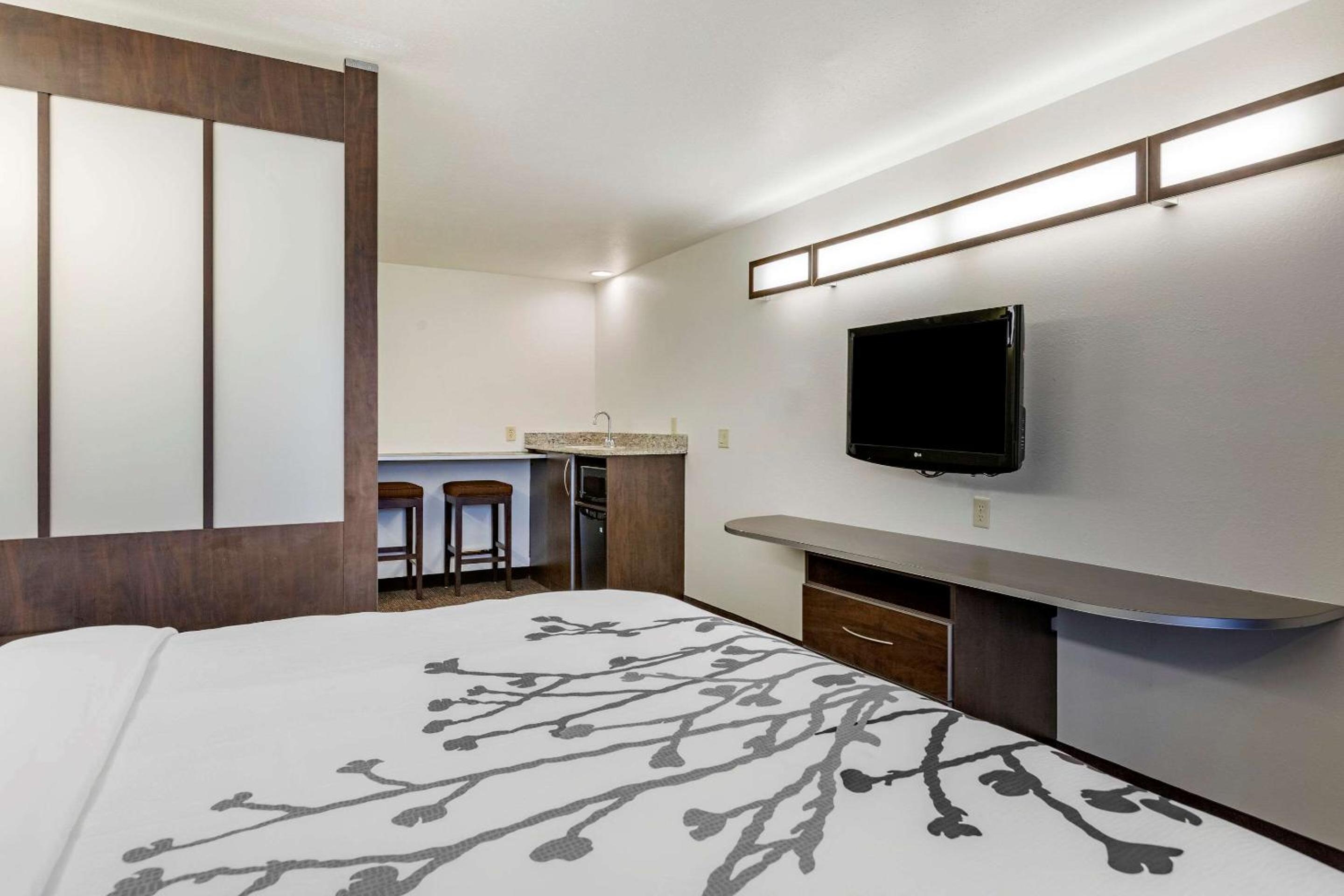 Superior Efficiency King Suite - Non Smoking - Photo 4