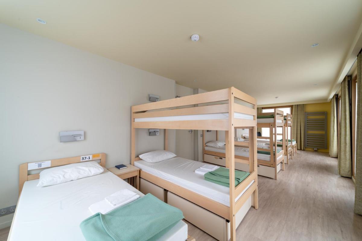 Bunk Bed in 8-Bed Male Dormitory Room photo 3