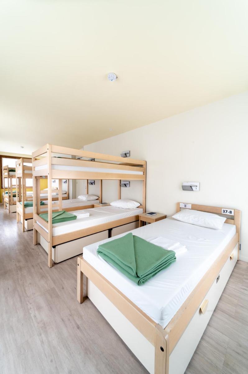 Bunk Bed in 8-Bed Male Dormitory Room photo 1