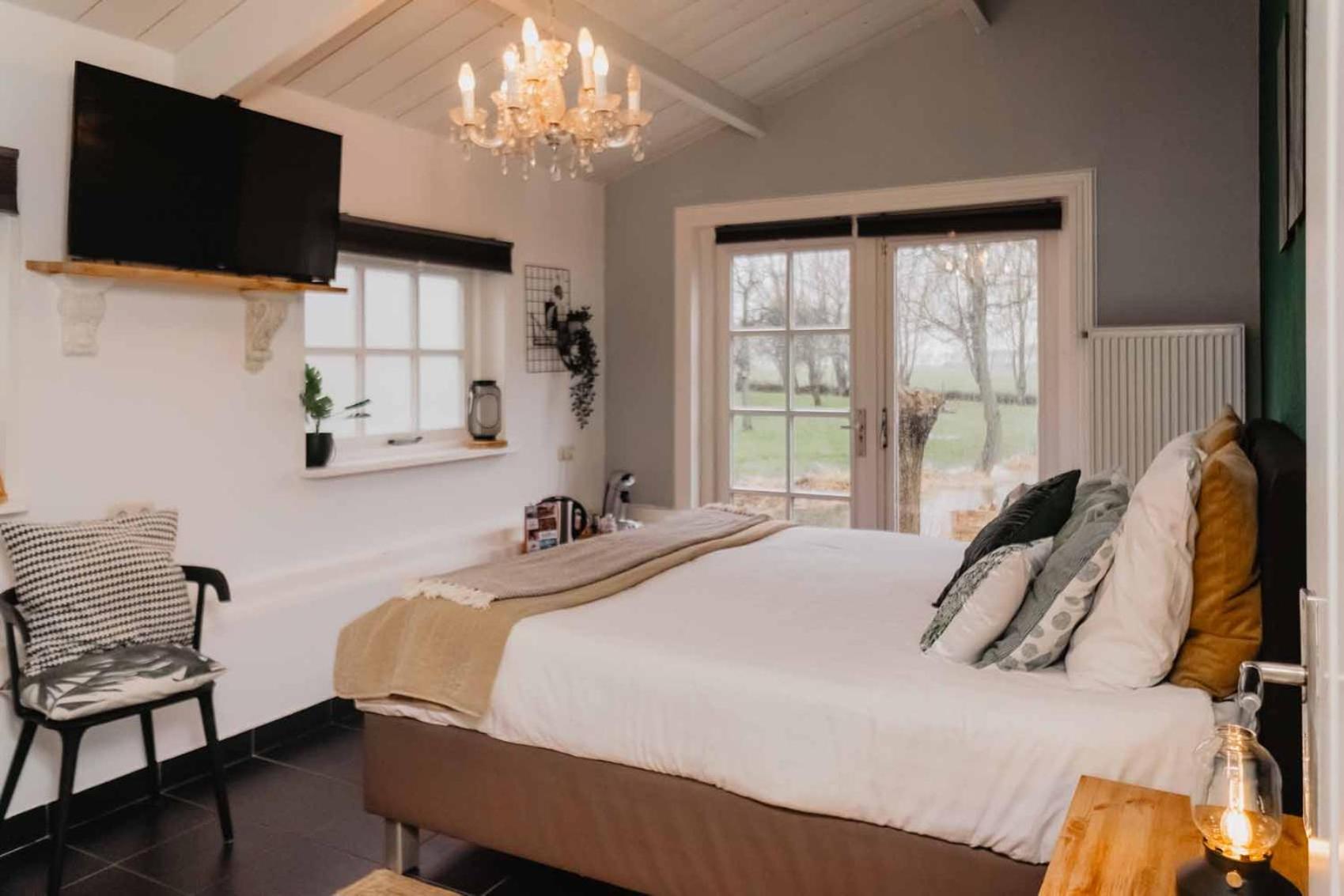 Suite - Photo 1
