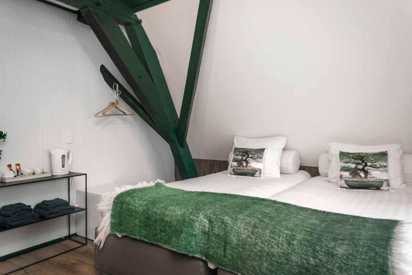Double Room with Shared Bathroom