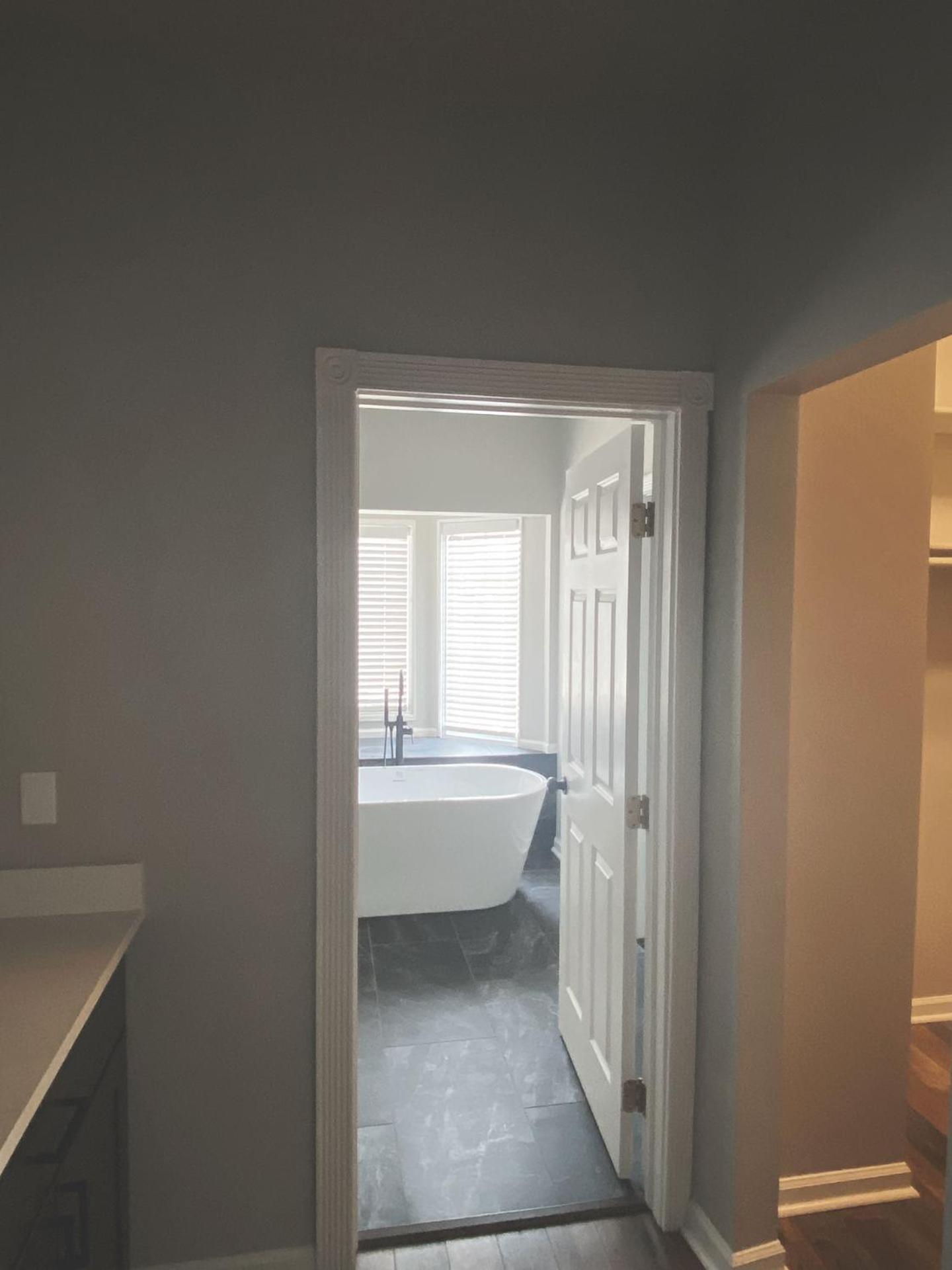 Deluxe King Suite - Photo 8