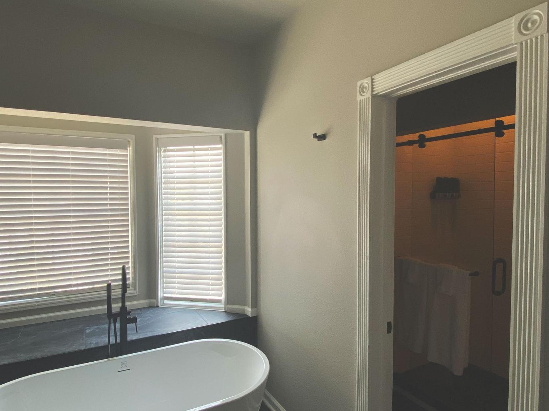 Deluxe King Suite - Photo 5