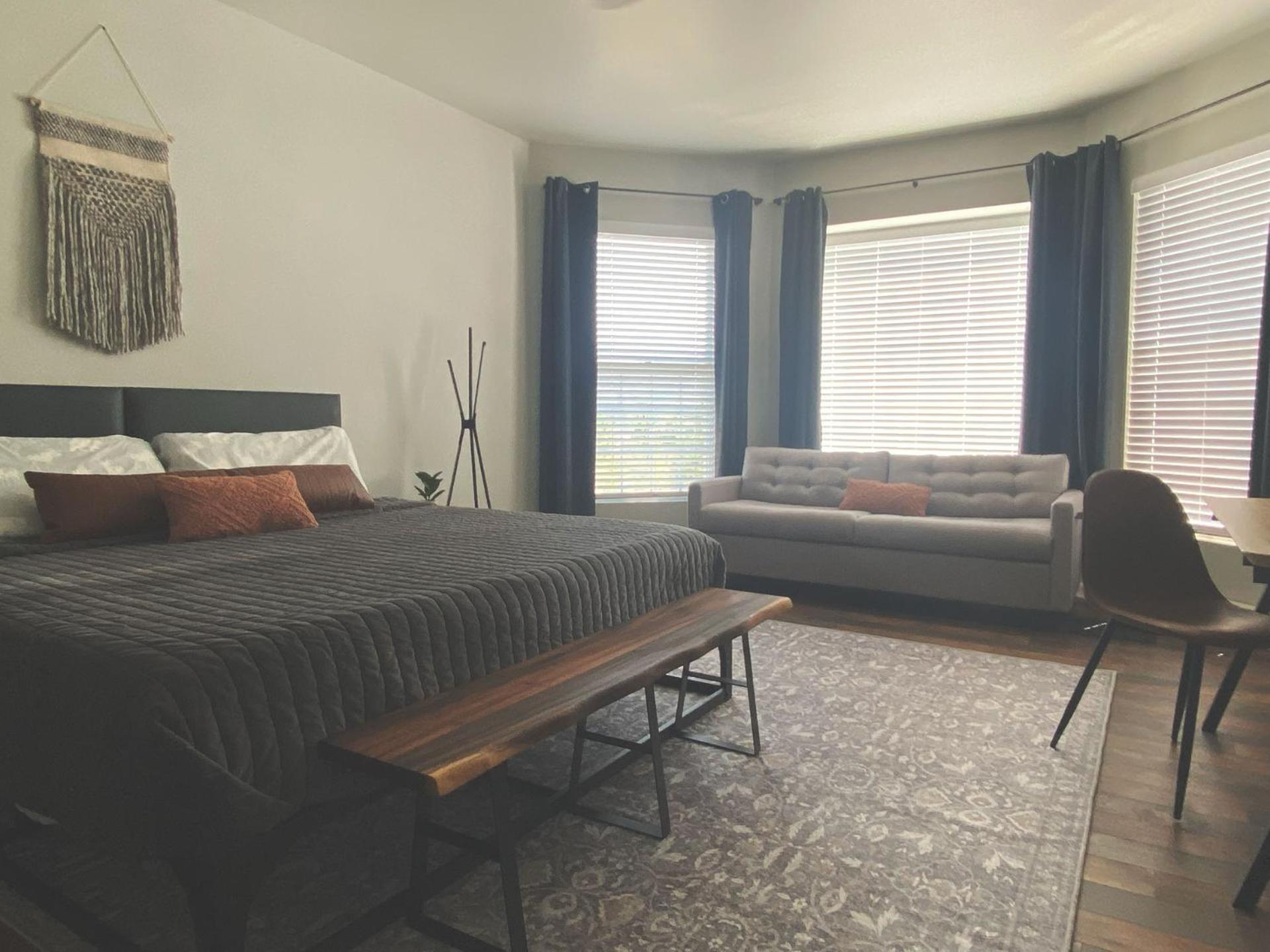 Deluxe King Suite - Photo 3