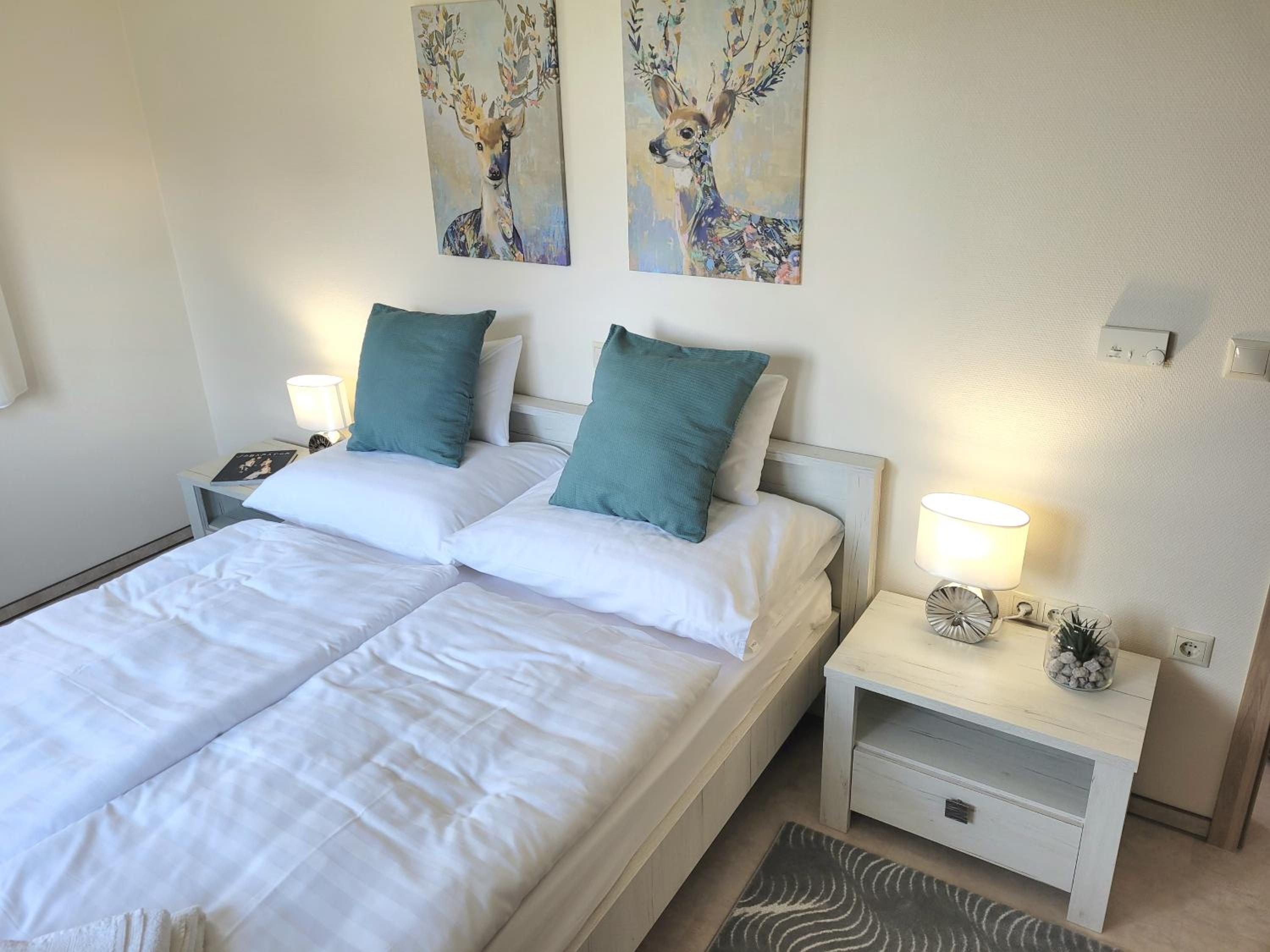 Apartment with Terrace photo 2