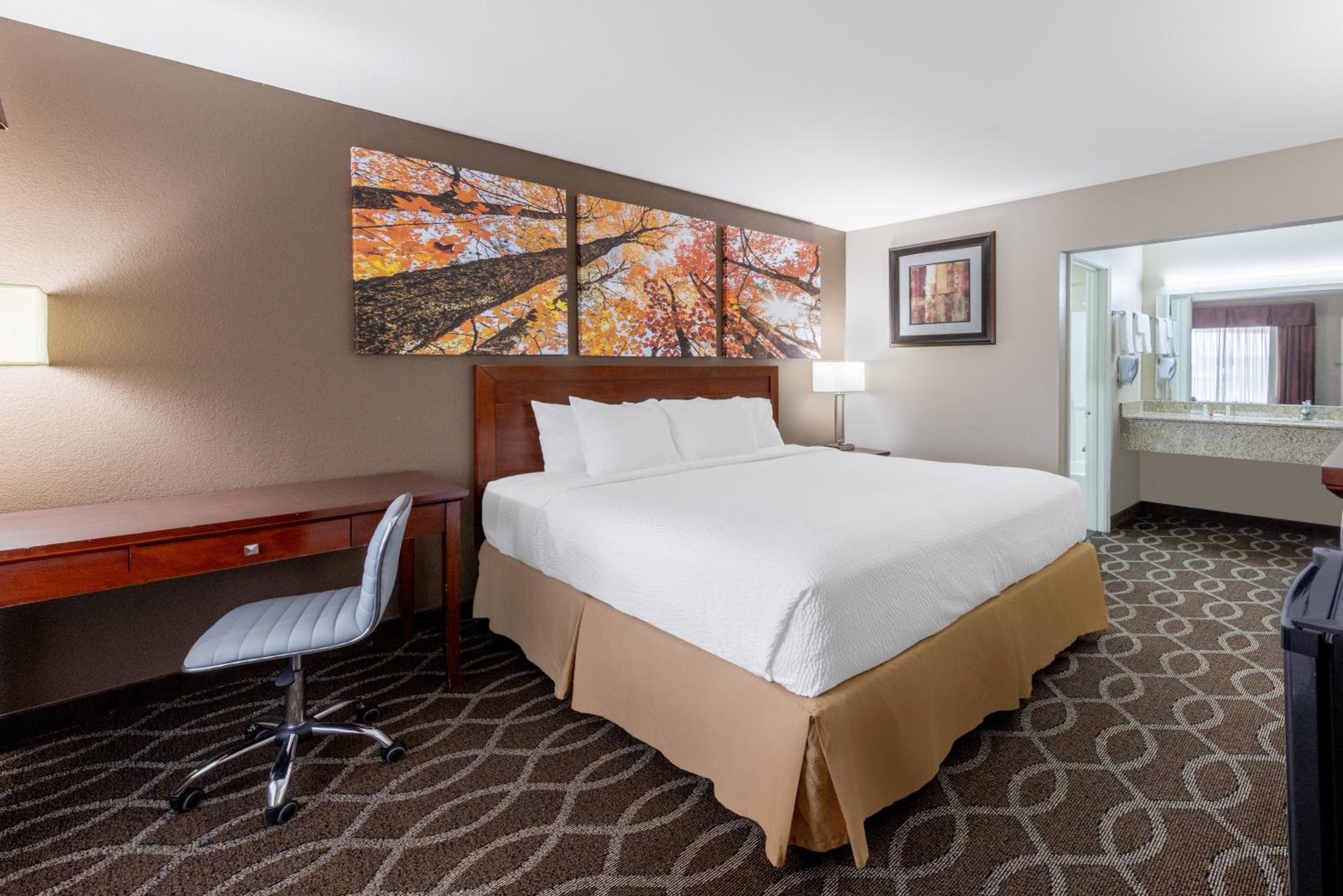 King Room - Non-Smoking photo 3
