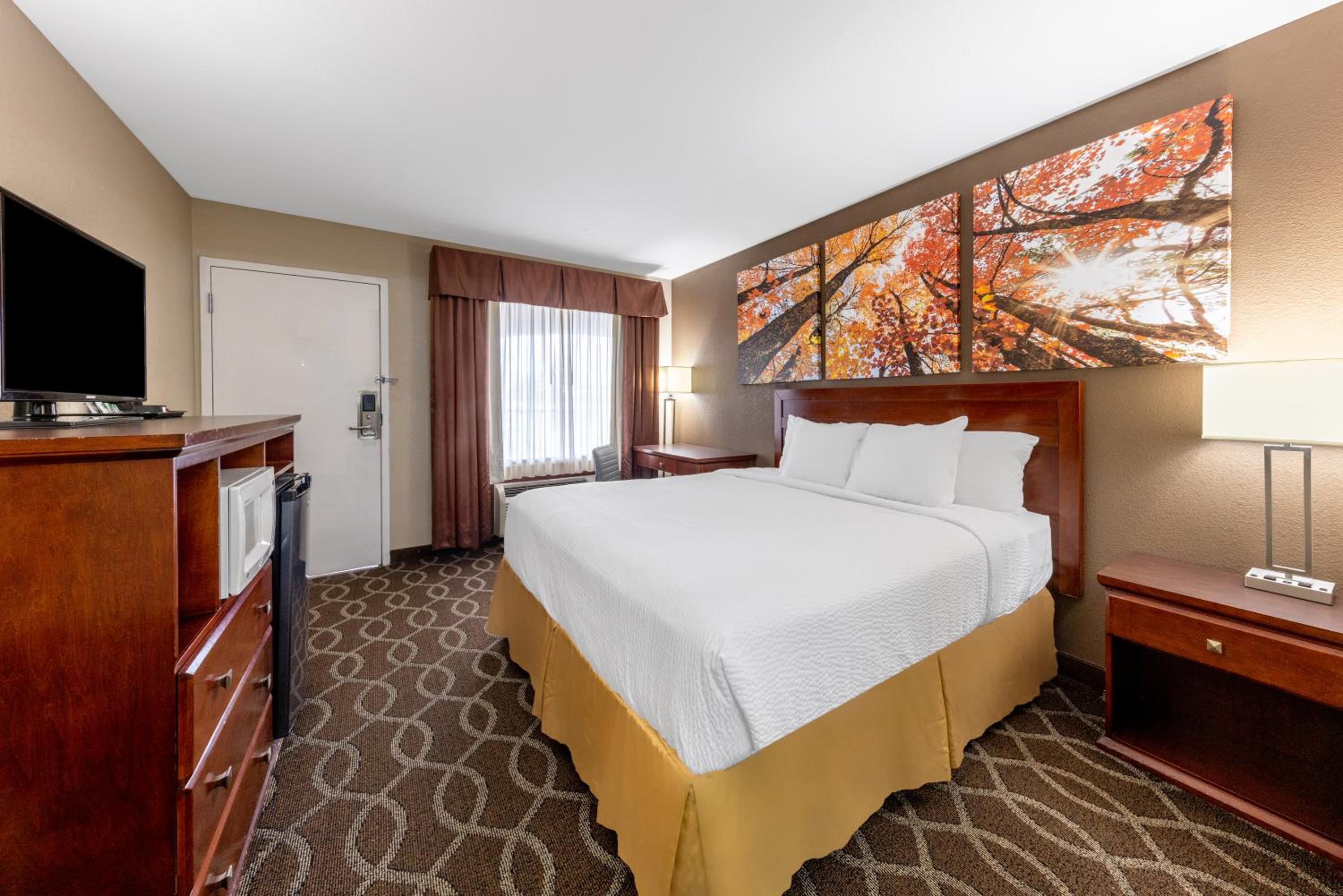 King Room - Non-Smoking