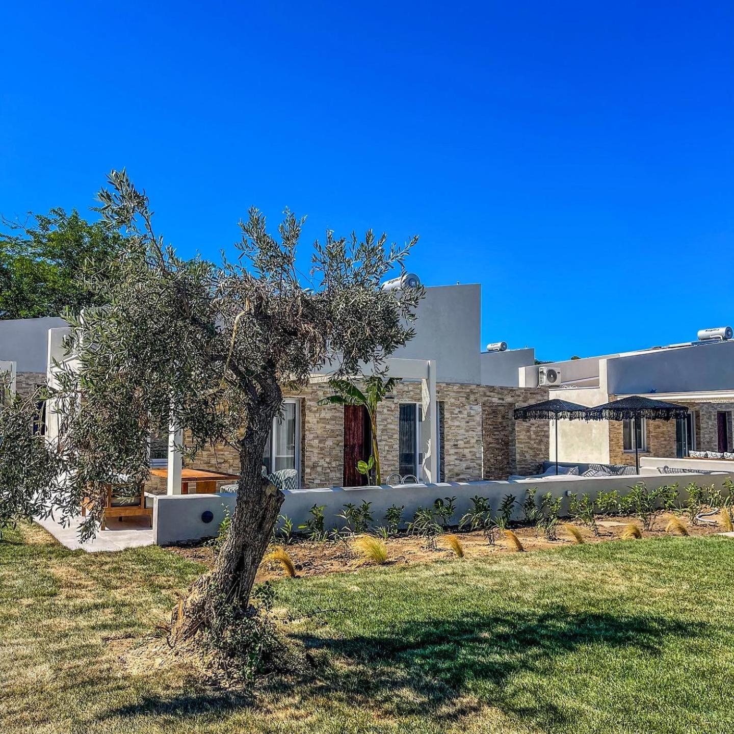 Two-Bedroom Villa - Photo 4
