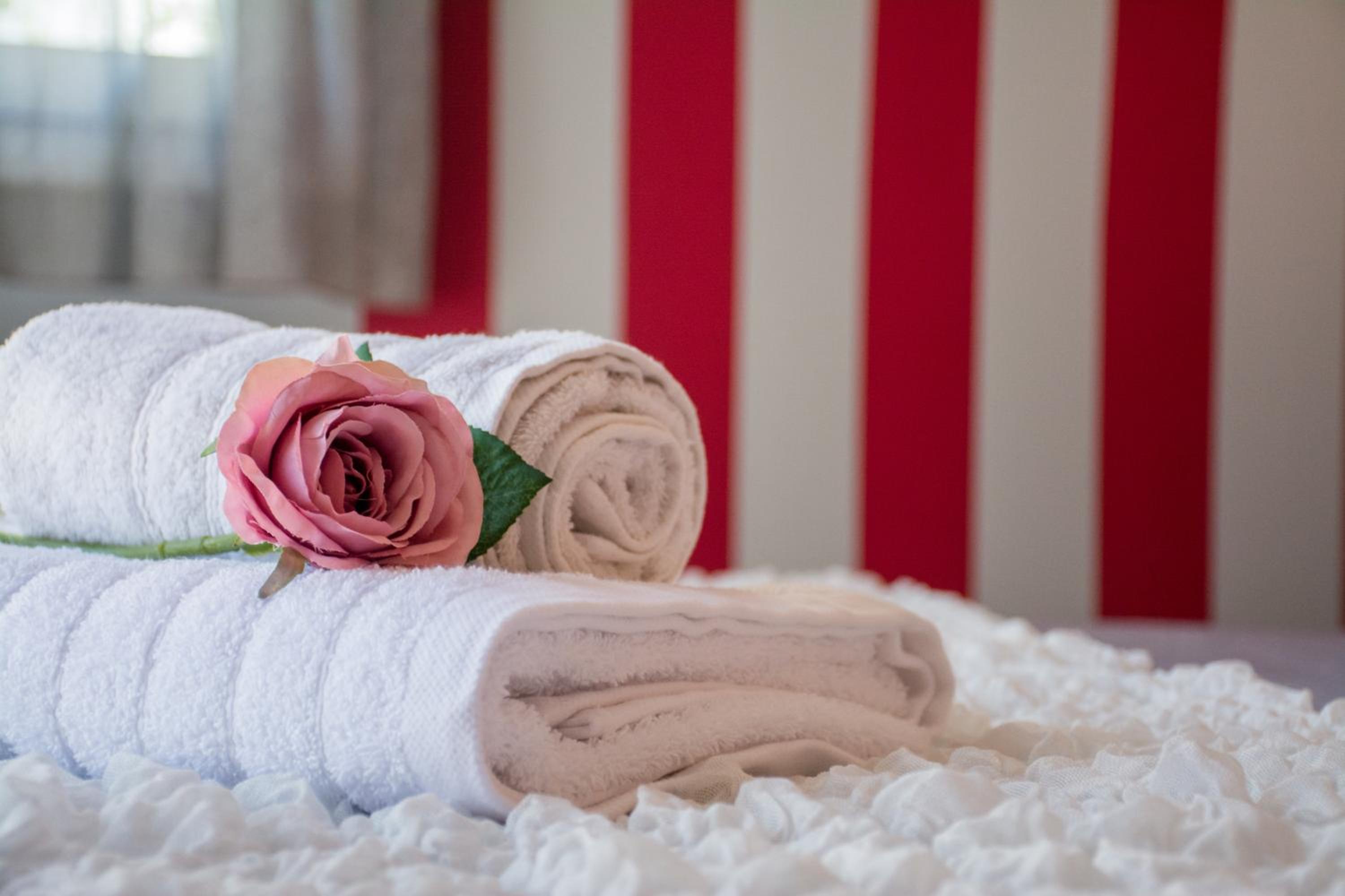 Three-Bedroom Apartment Velvet Rose photo 1