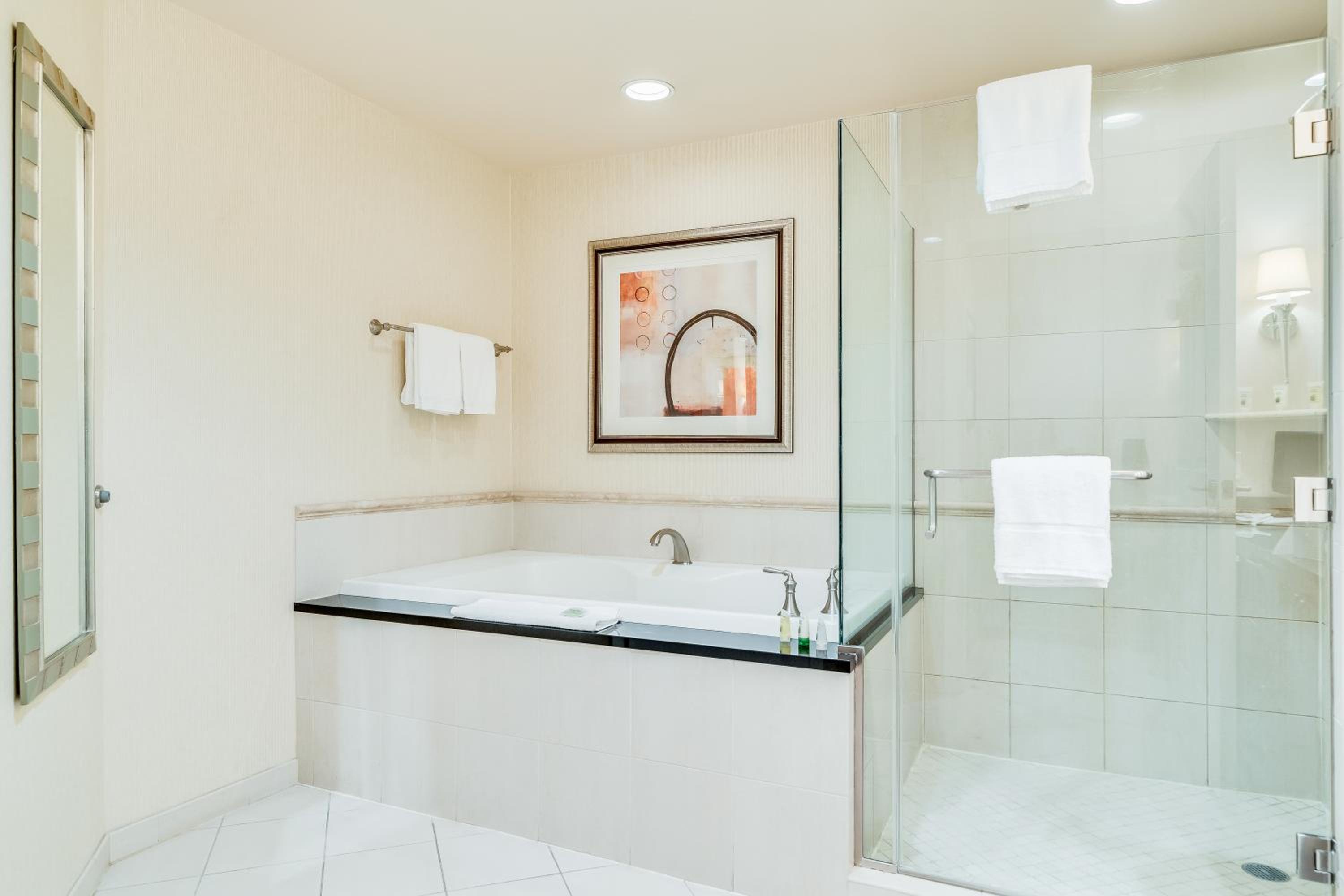 Elite Deluxe Studio with Jetted Tub - Photo 16