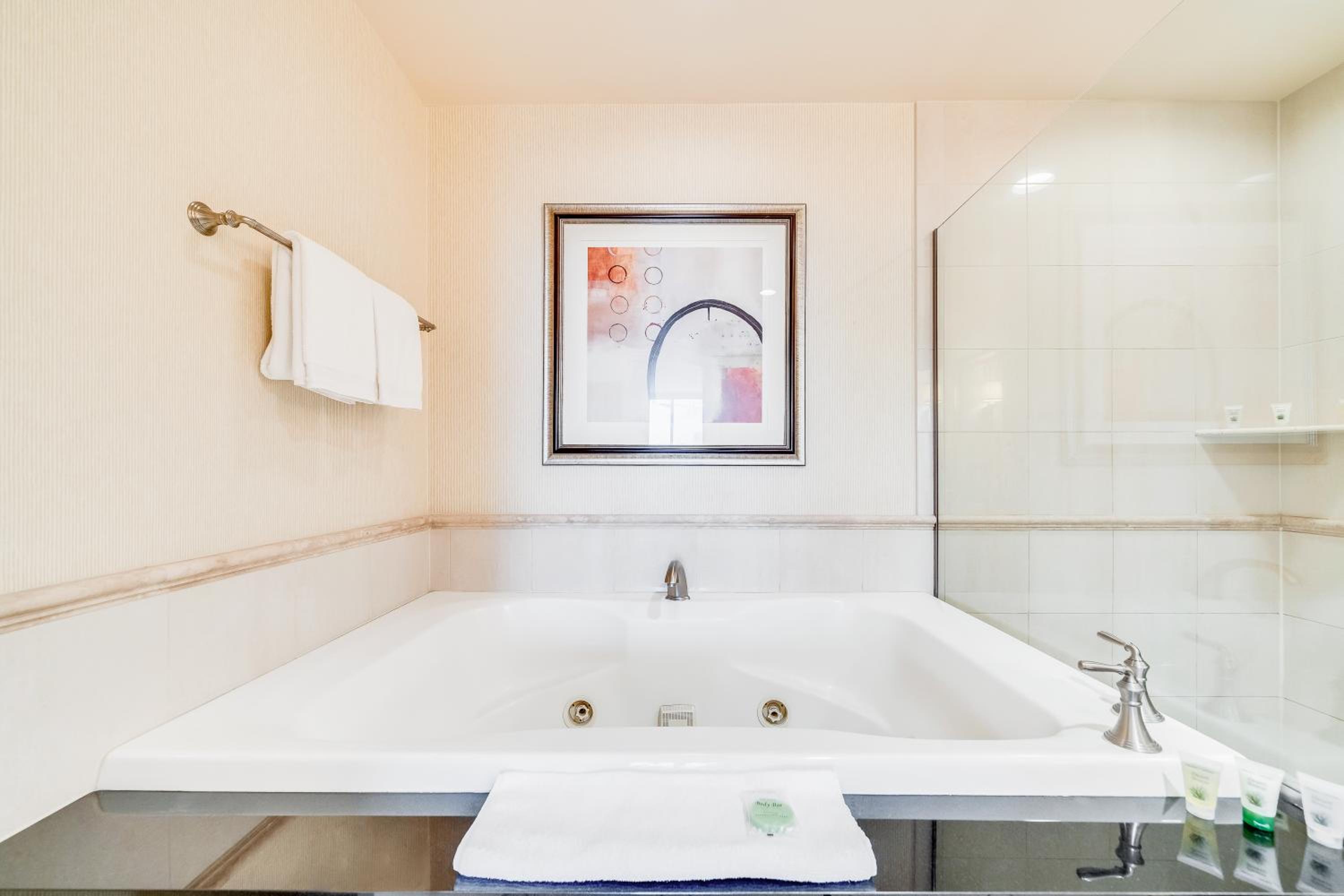 Elite Deluxe Studio with Jetted Tub - Photo 17