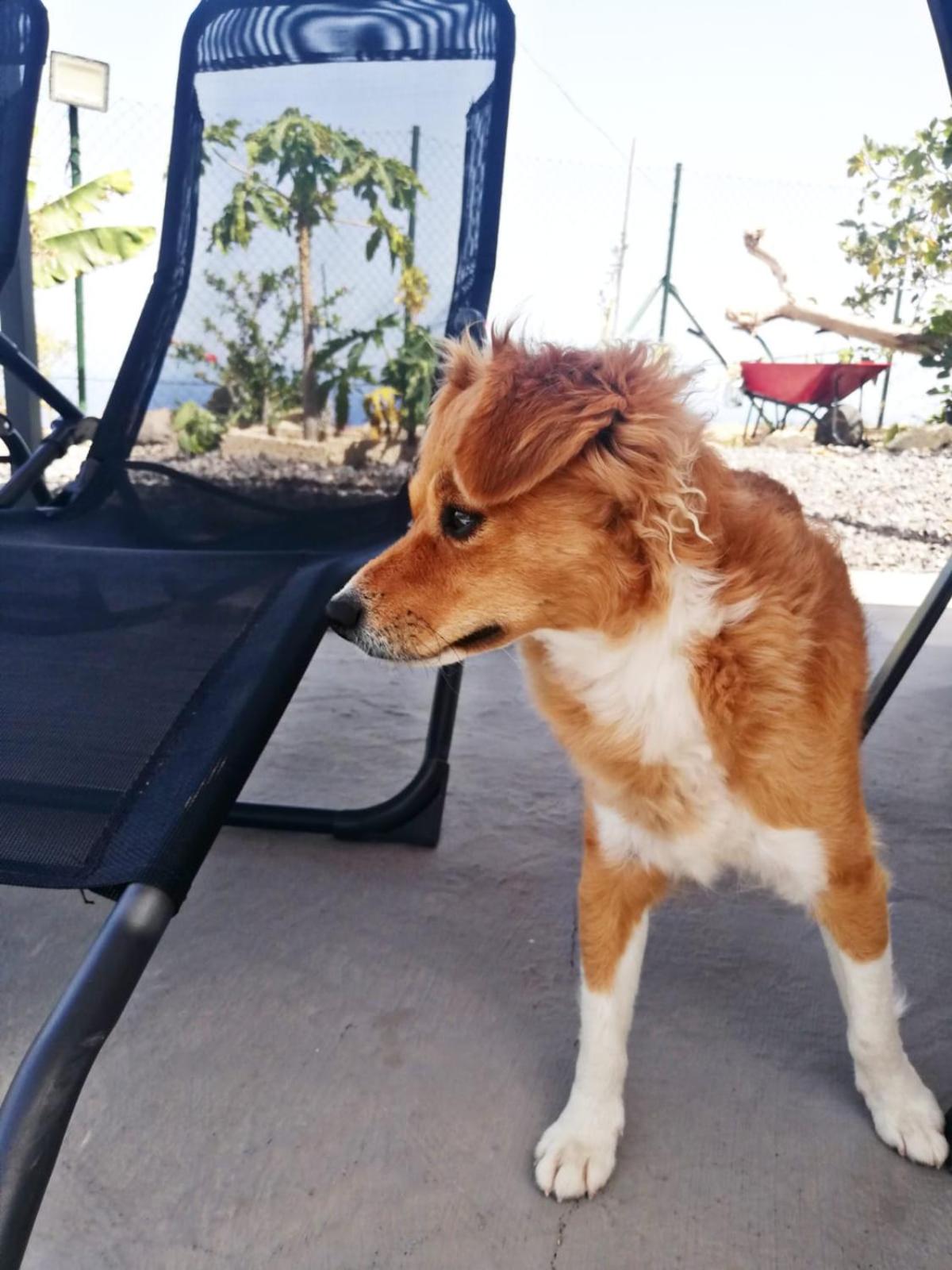 Vacation Home photo 3