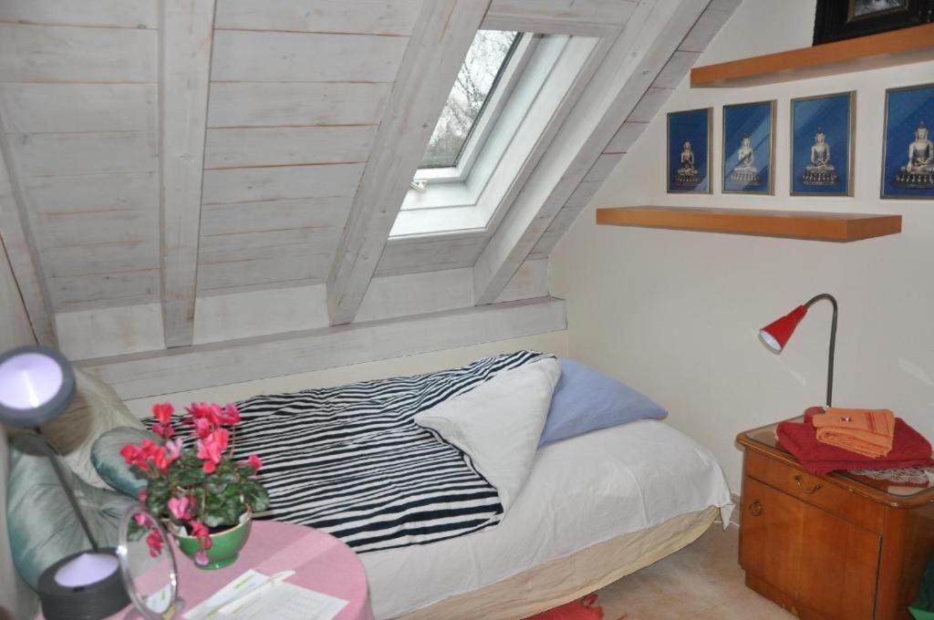 Single Room with Shared Bathroom photo 1