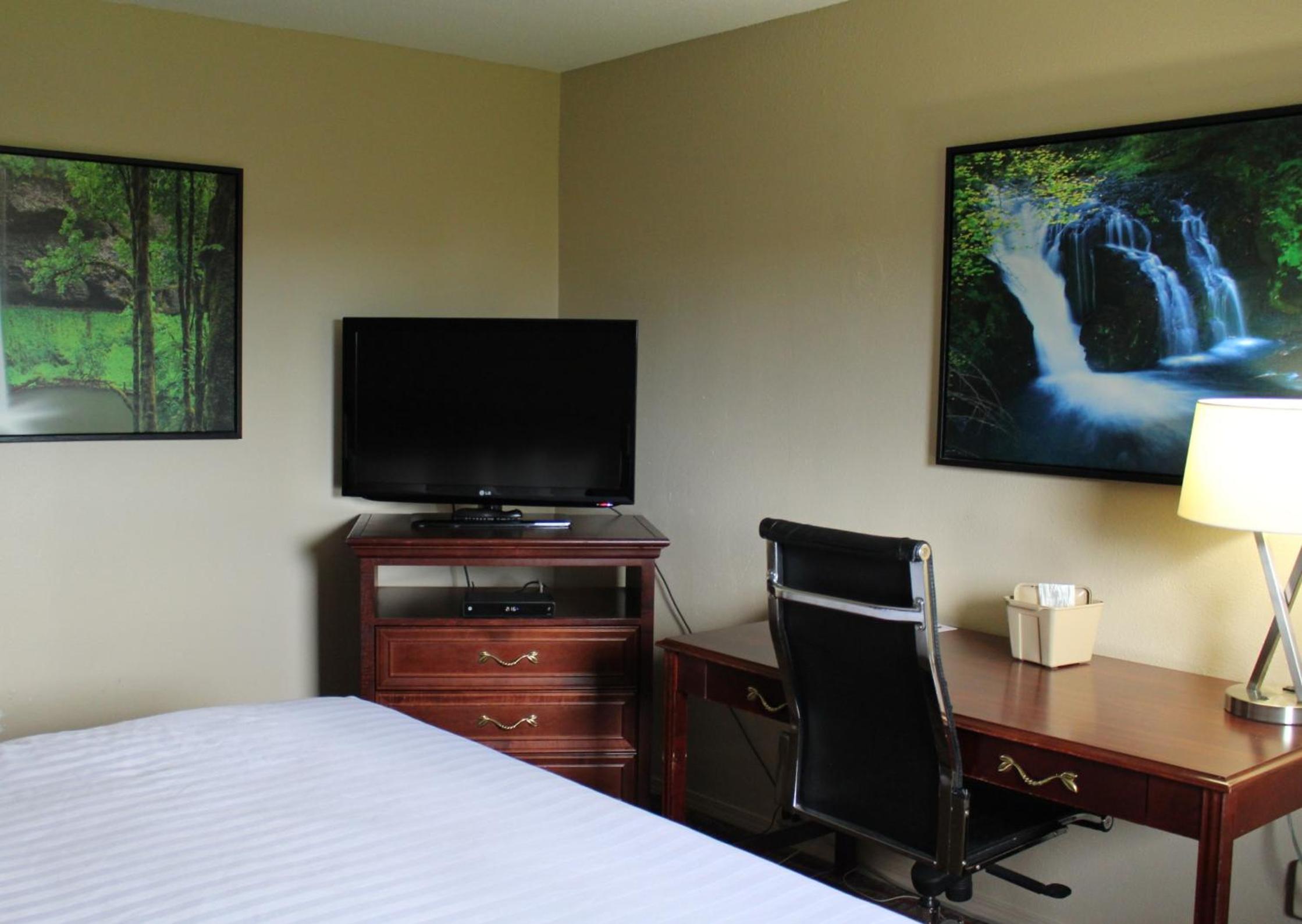 King Room - Non-Smoking - Photo 6