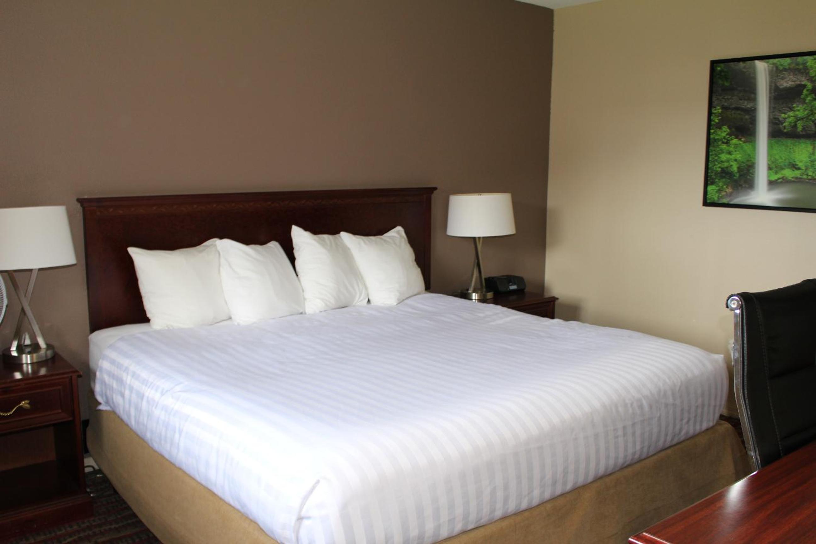 King Room - Non-Smoking - Photo 3