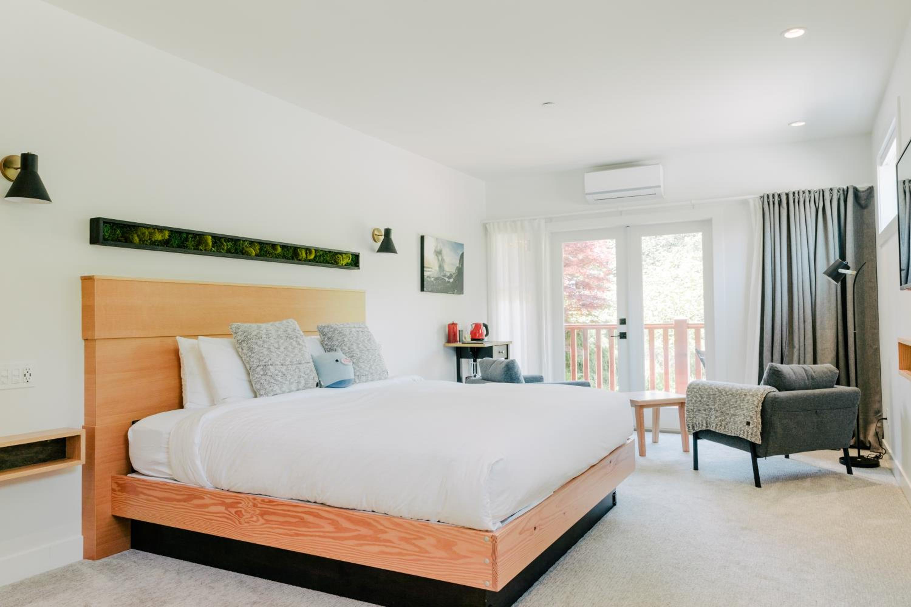 King Room photo 1