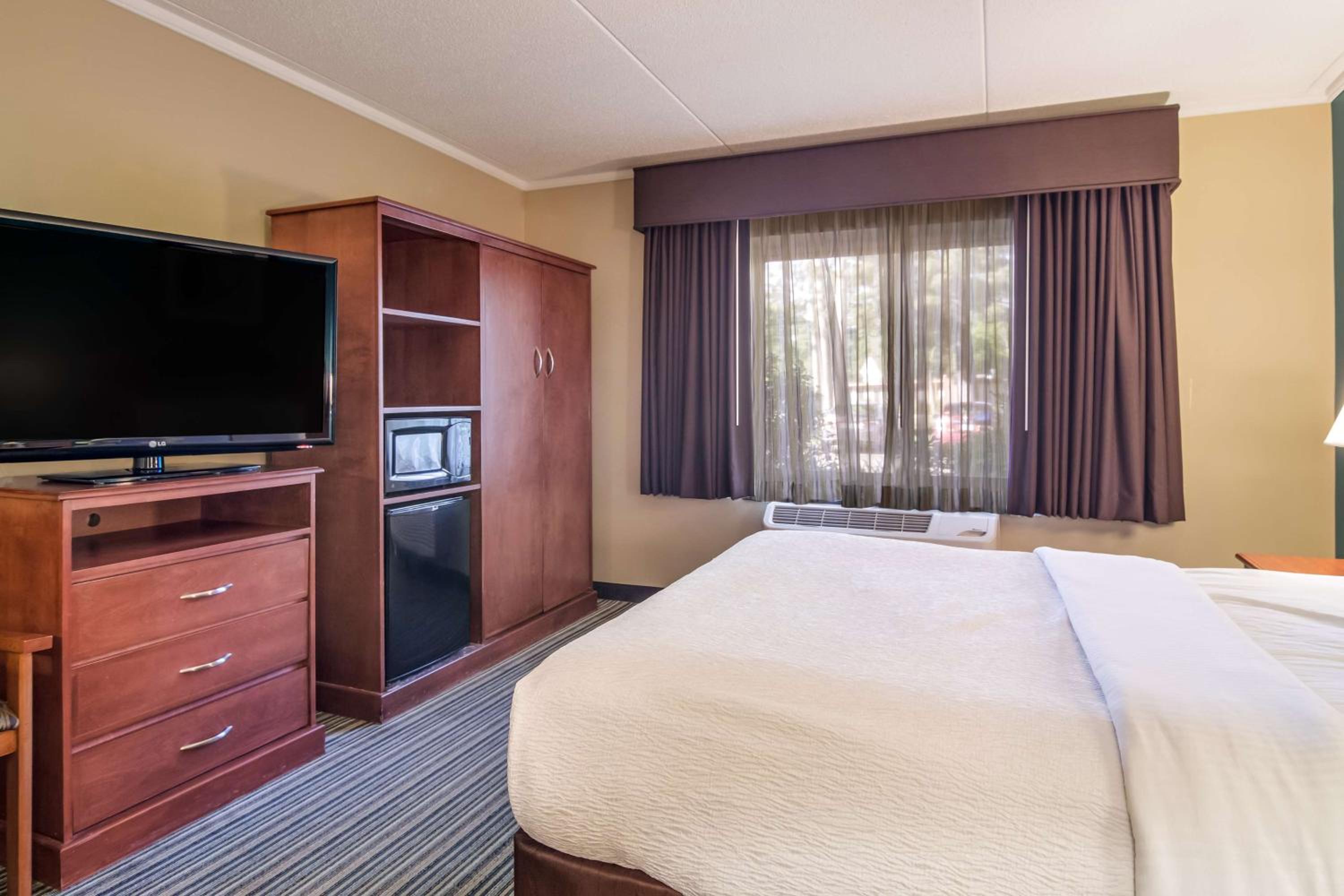 Queen Room with Roll-In Shower - Mobility Accessible/Communication Assistance/Non-Smoking - Photo 4