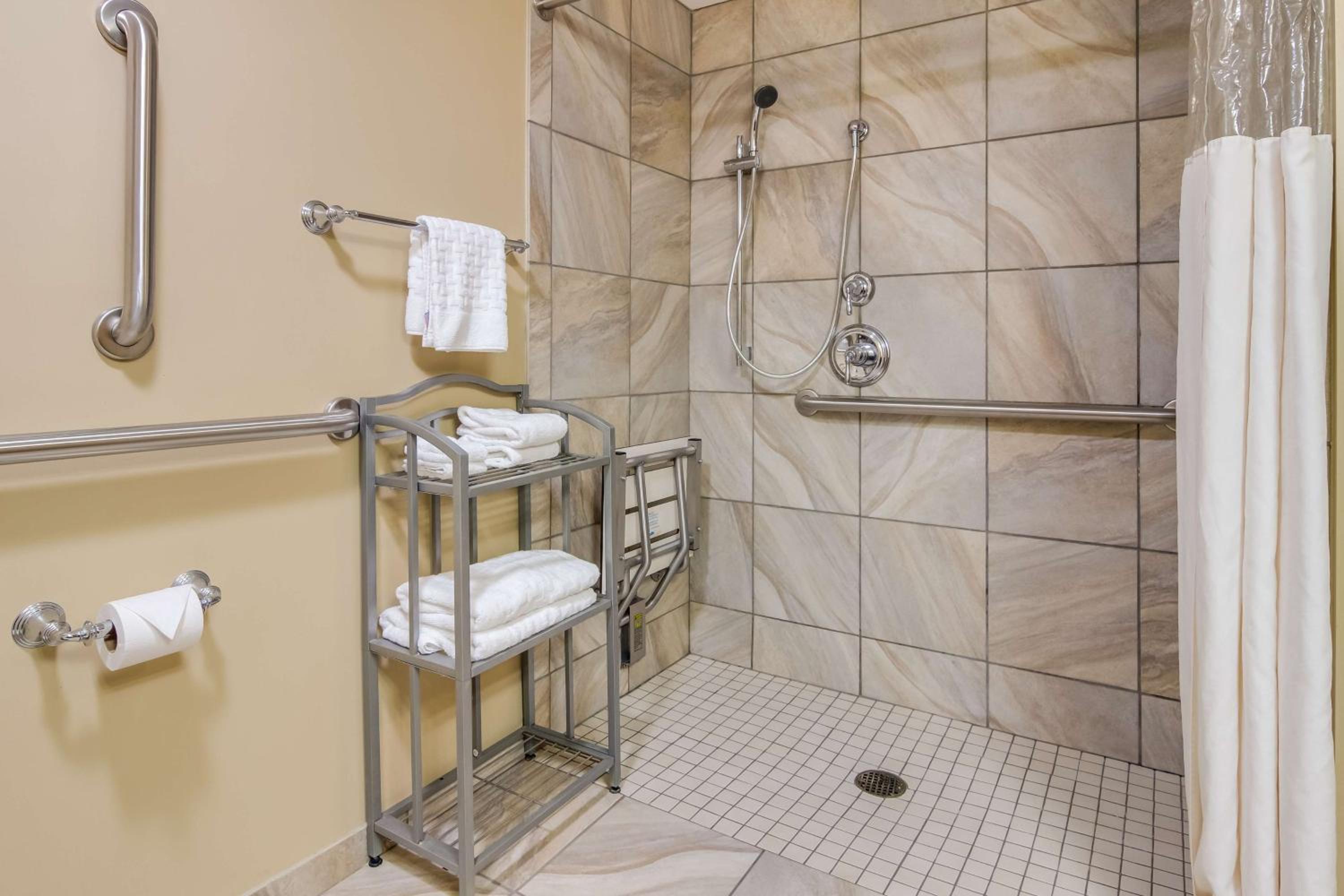 Queen Room with Roll-In Shower - Mobility Accessible/Communication Assistance/Non-Smoking - Photo 3