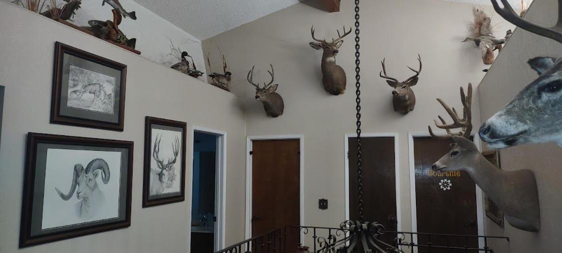 King Room with Mountain View photo 3