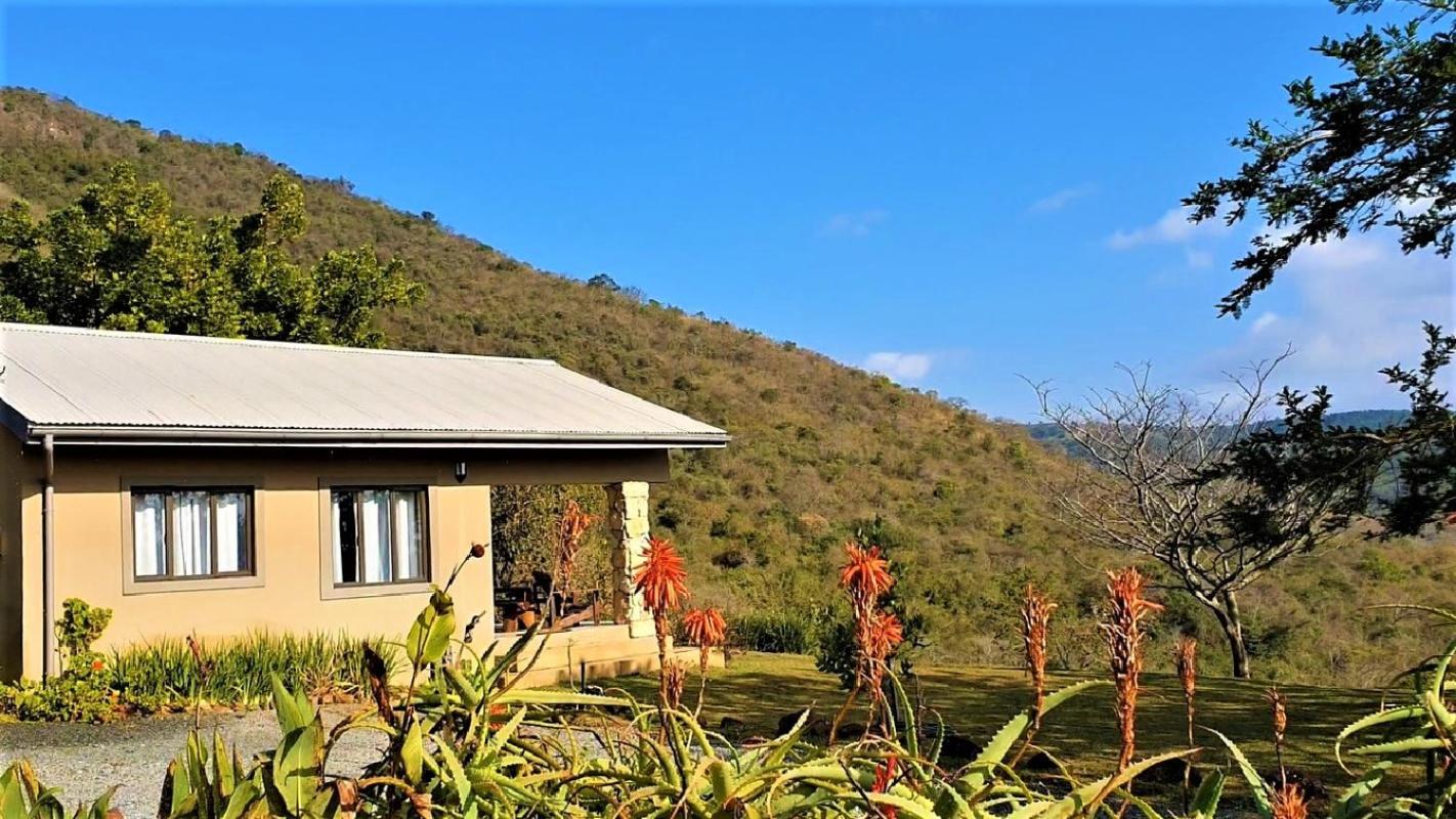 Studio with Mountain View photo 2