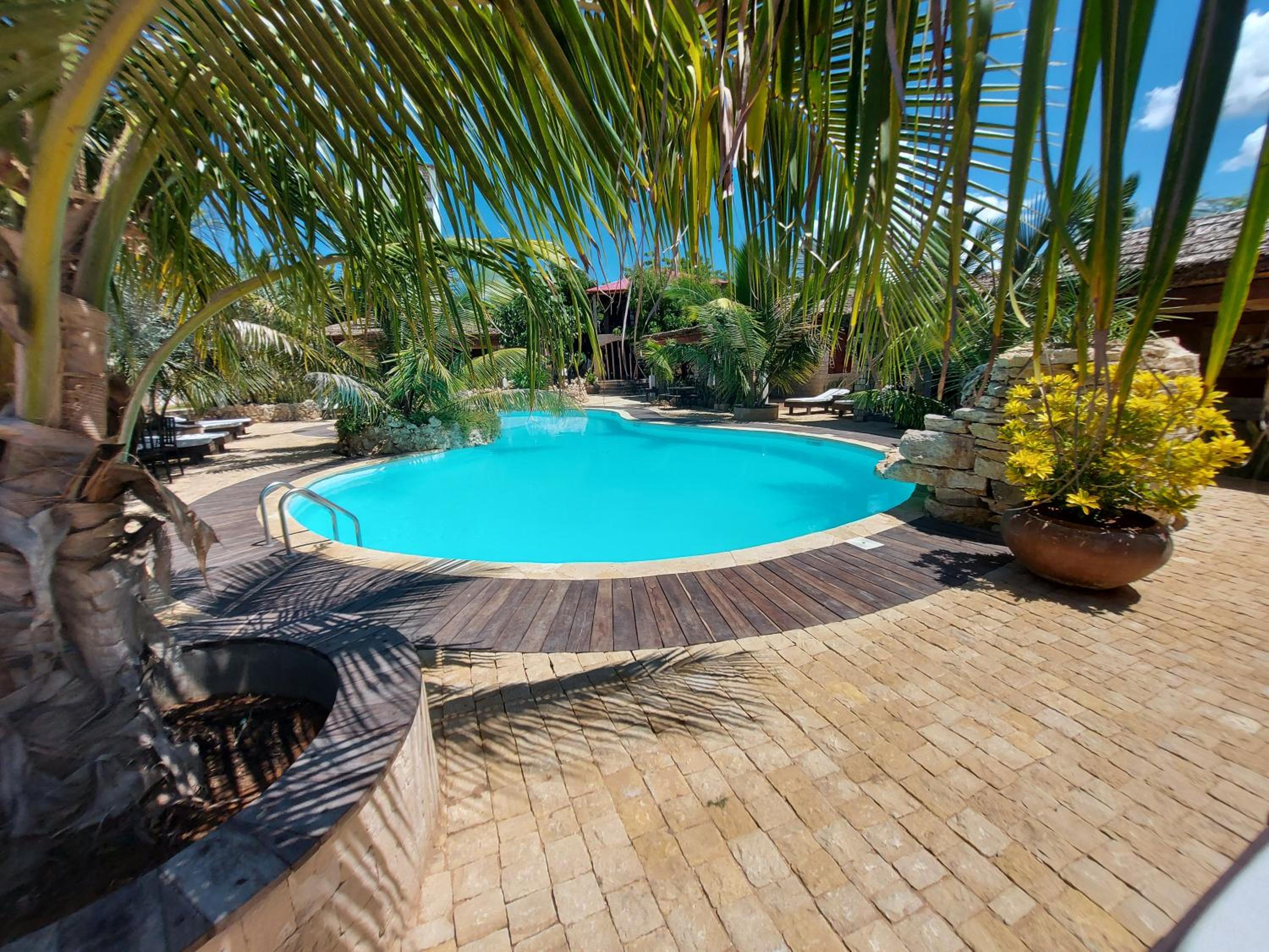 King Room with Pool View