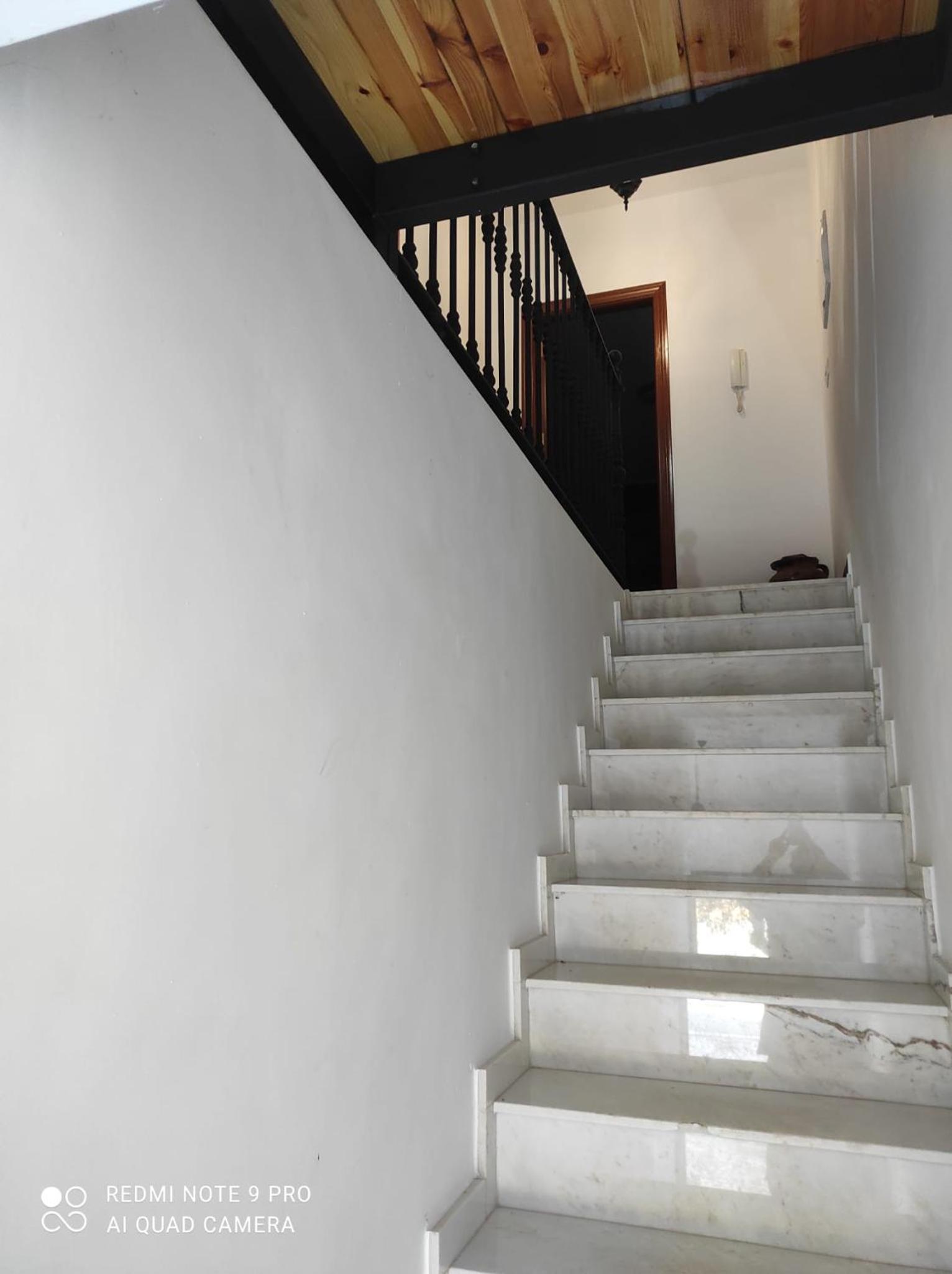 Apartment with Terrace photo 3
