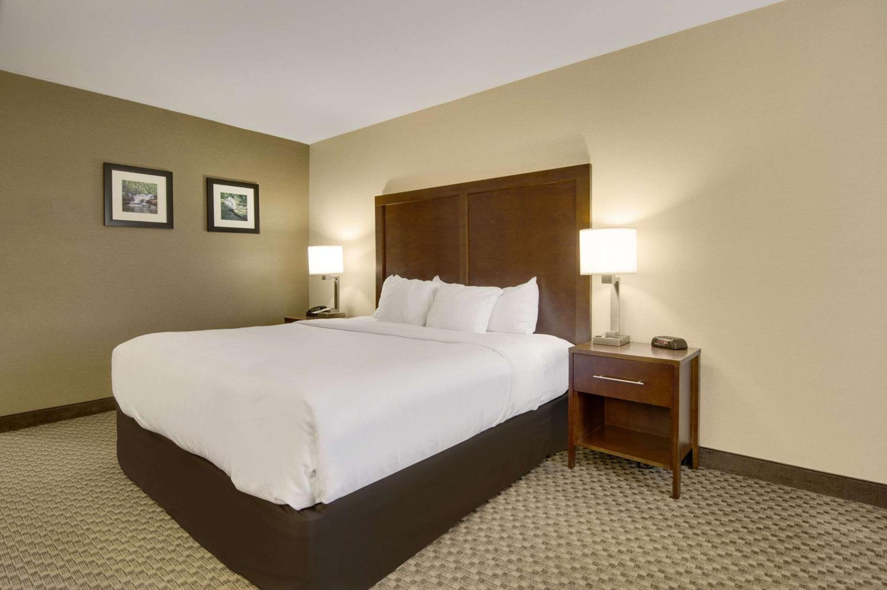King Room - Non-Smoking - Photo 8