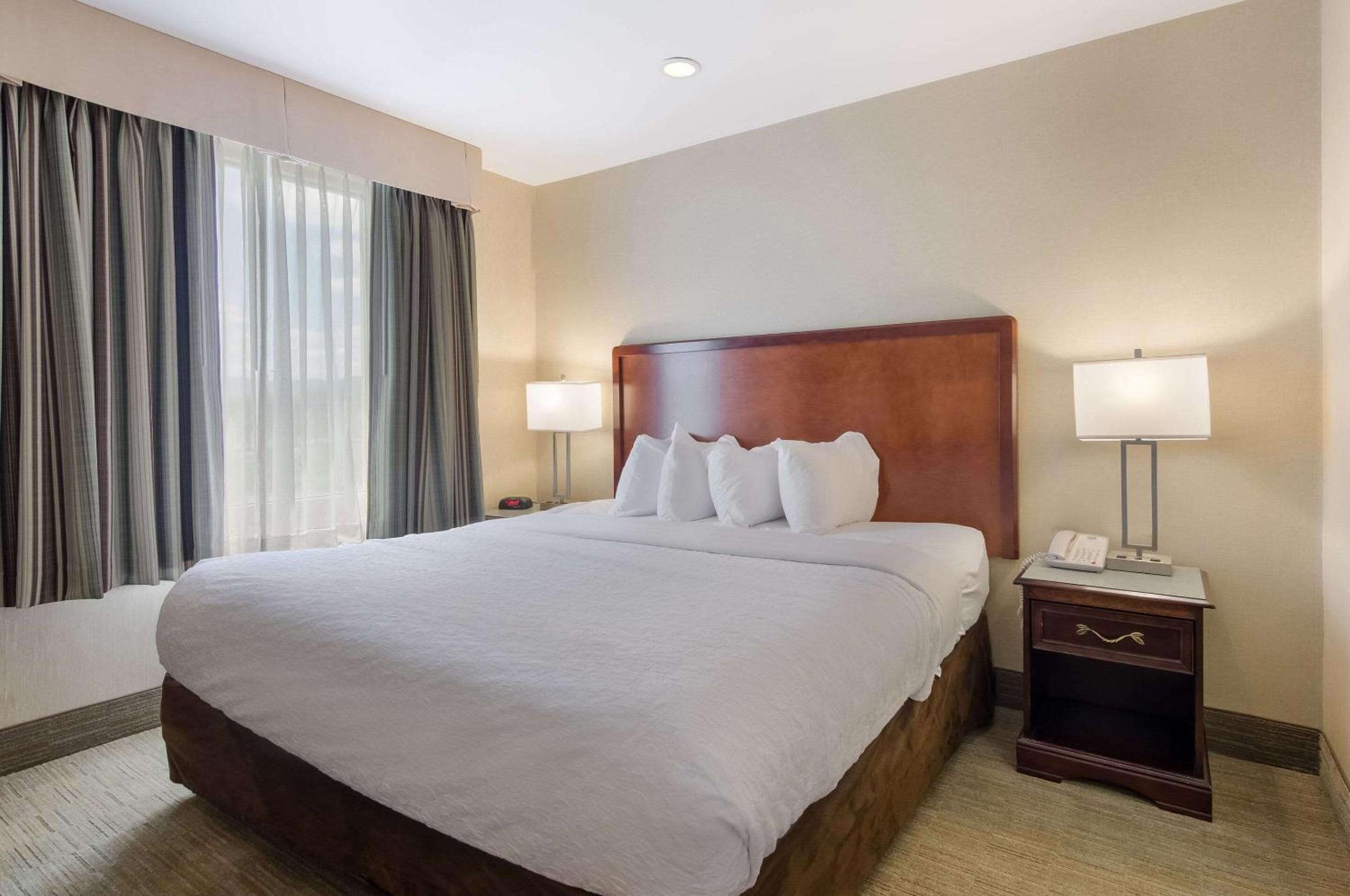 One-Bedroom Queen Suite with Sofa Bed - Non-Smoking - Photo 4