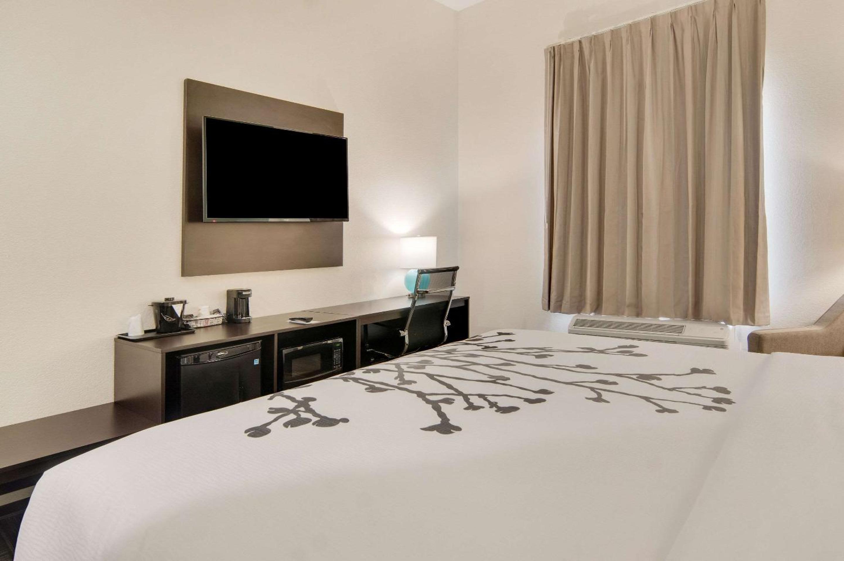 King Room - Non Smoking - Photo 3