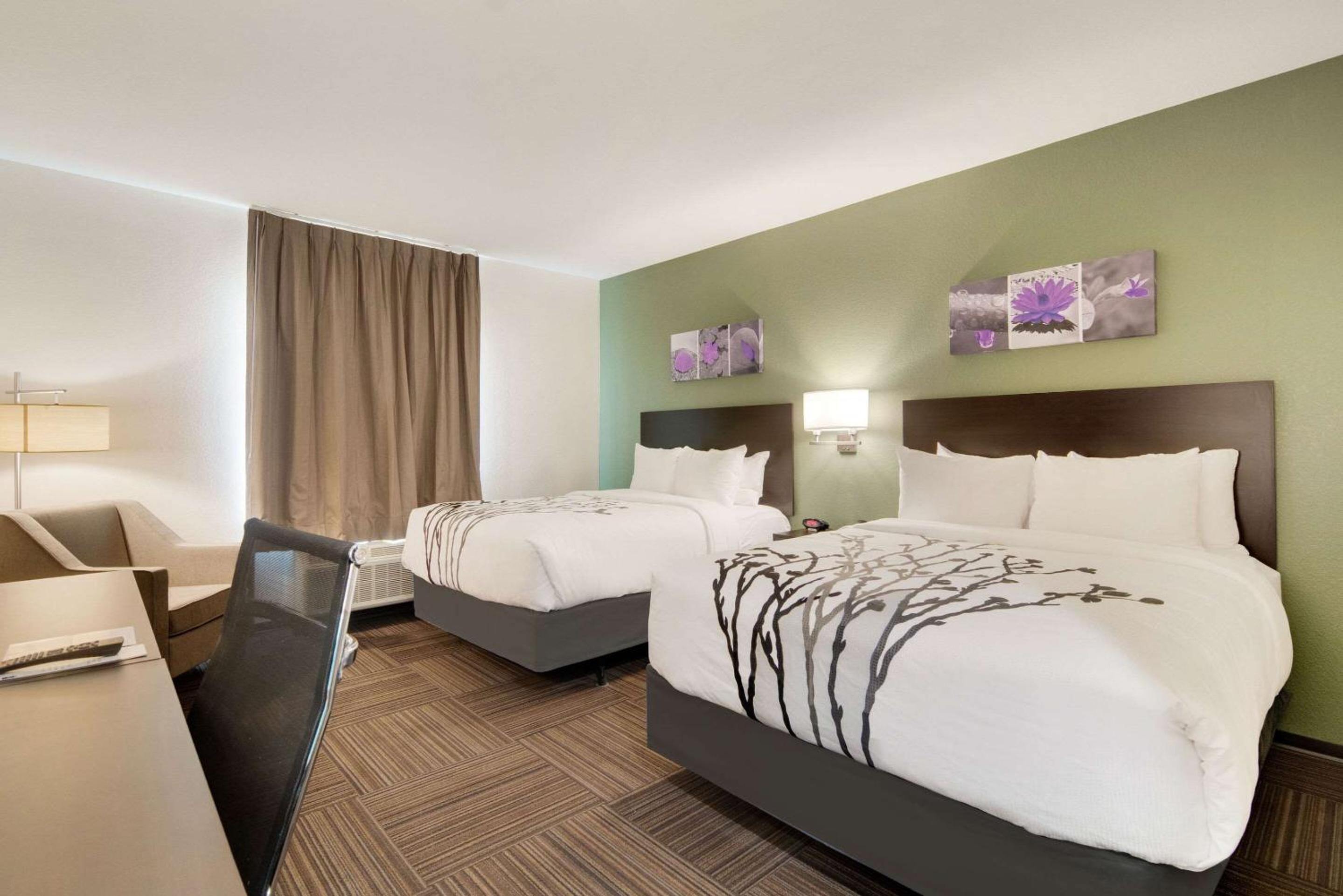 Quadruple Room with Two Queen Beds - Disability Access/Non Smoking - Photo 6