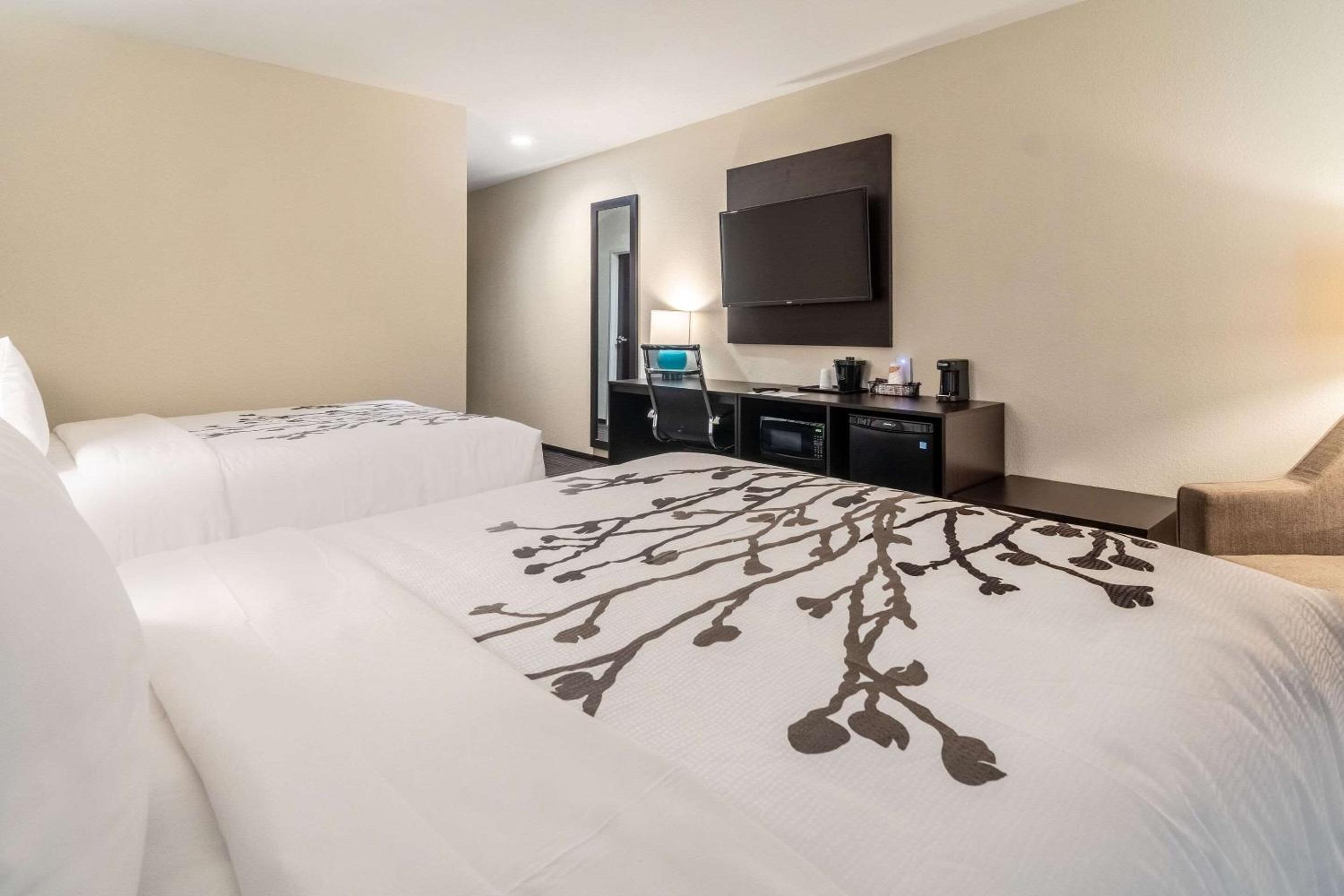 Quadruple Room with Two Queen Beds - Disability Access/Non Smoking - Photo 5