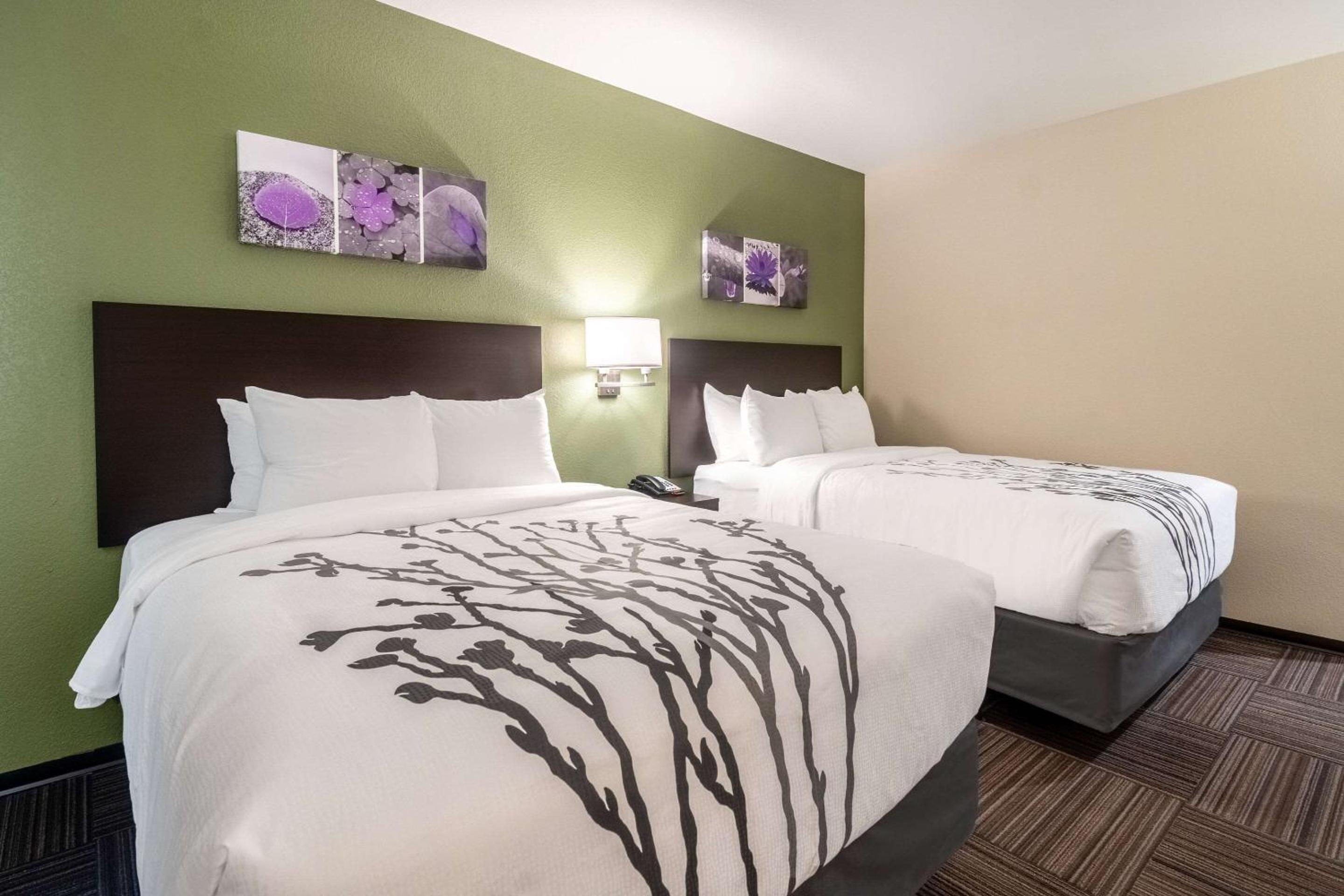 Quadruple Room with Two Queen Beds - Disability Access/Non Smoking - Photo 7