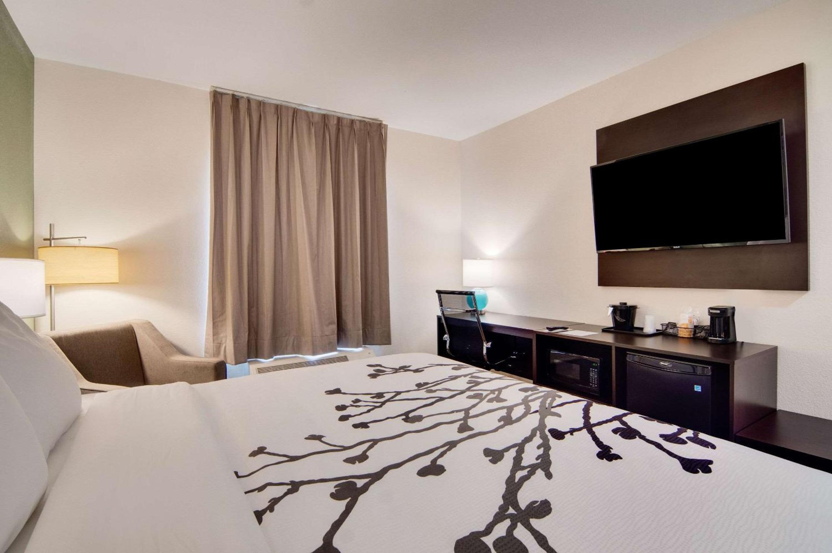 King Room - Non Smoking - Photo 7